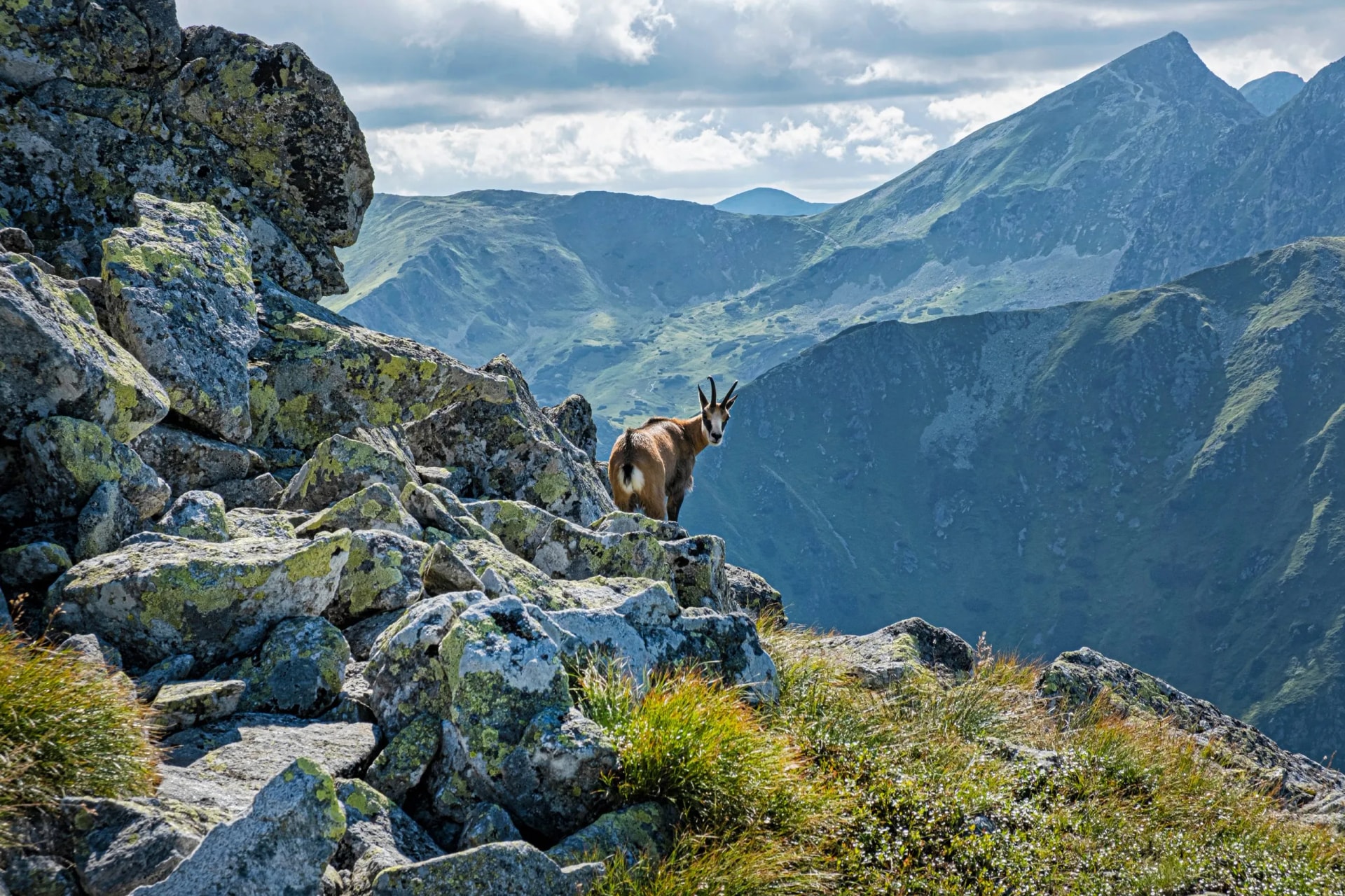 Beste van Tatra wandeling van hut naar hut