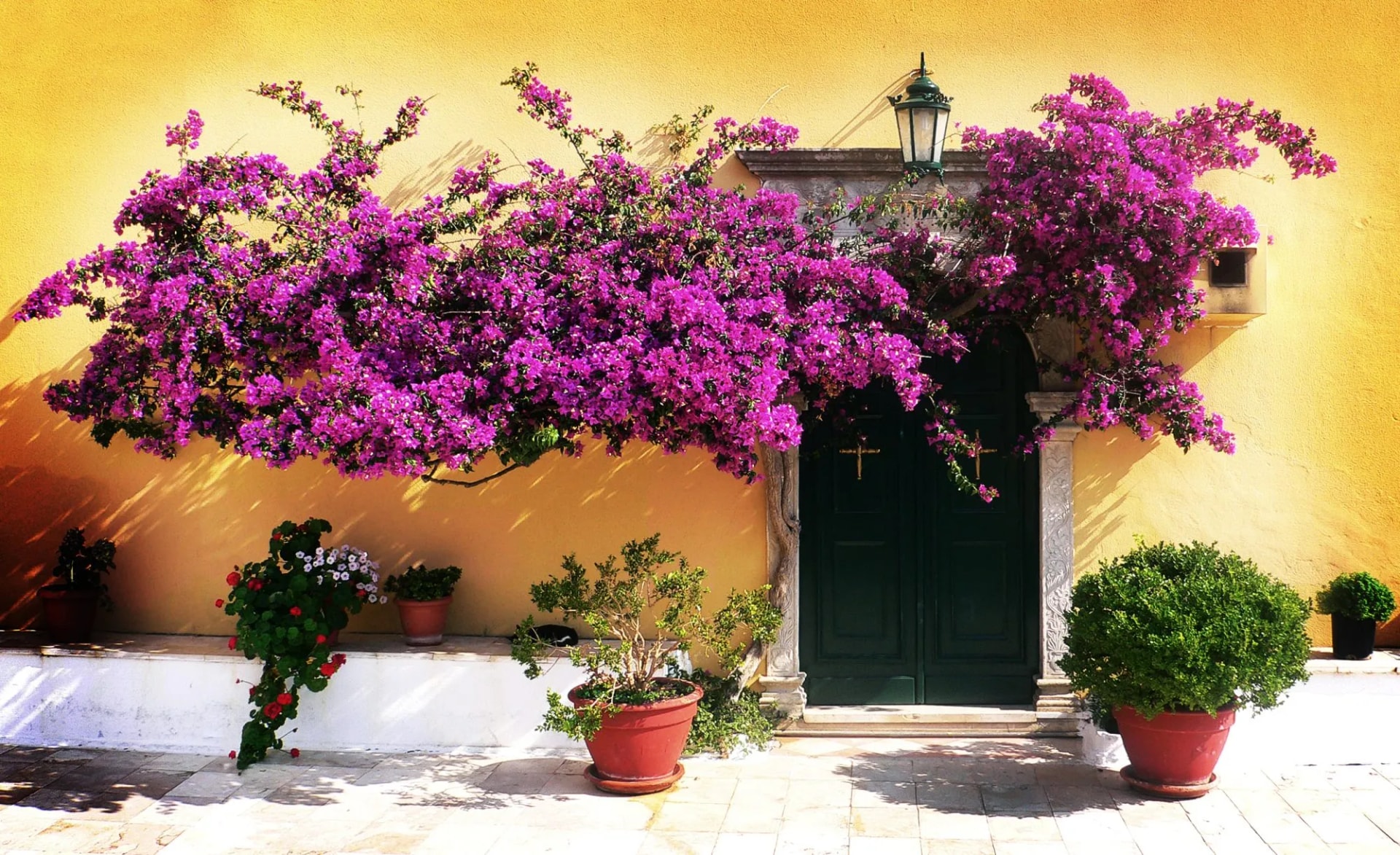 monastery door