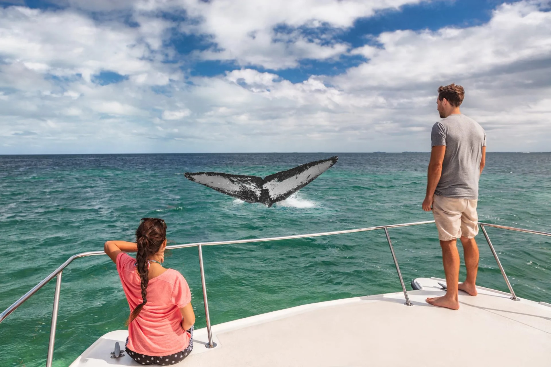 whales azores watching couples