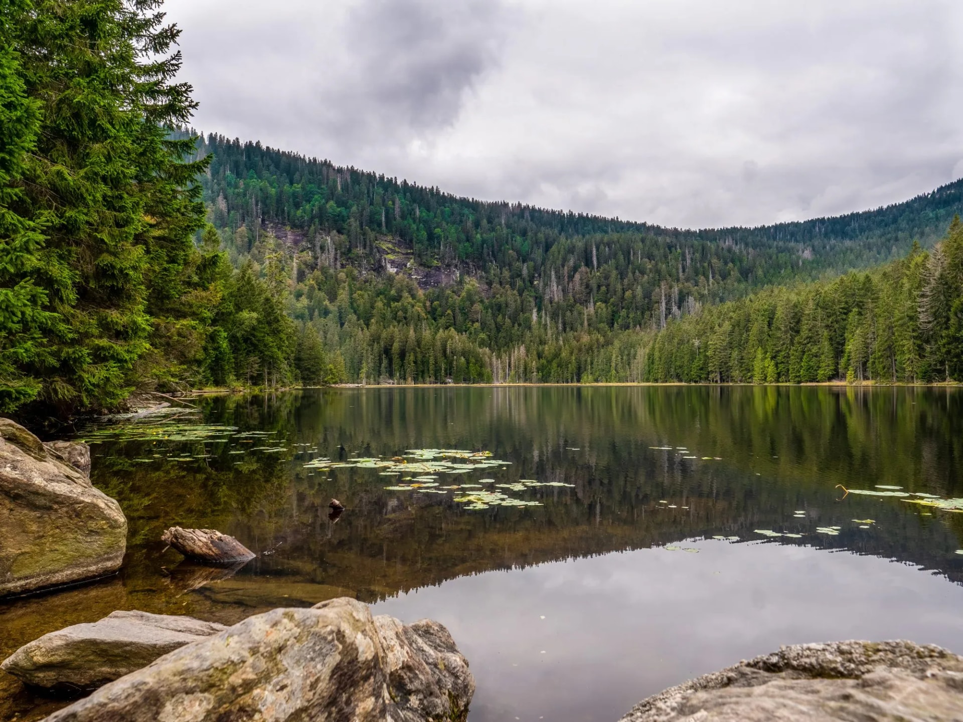 Großer Arbersee im Bayerischen Wald  bei bewölktem Himmel