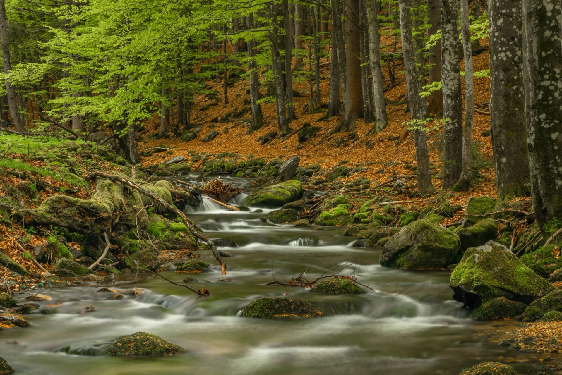 Pommerbach creek in spring cloudy evening near Buchenau village