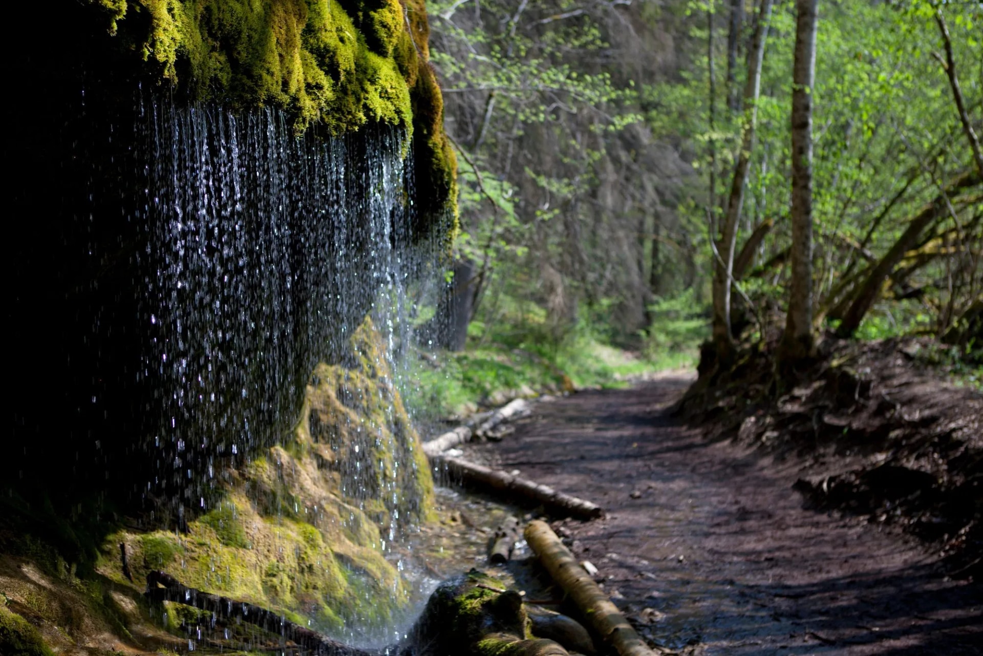 Wasserfall und weg