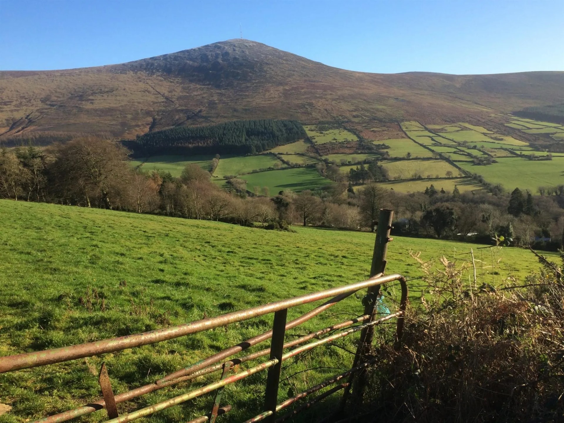 Mount Leinster