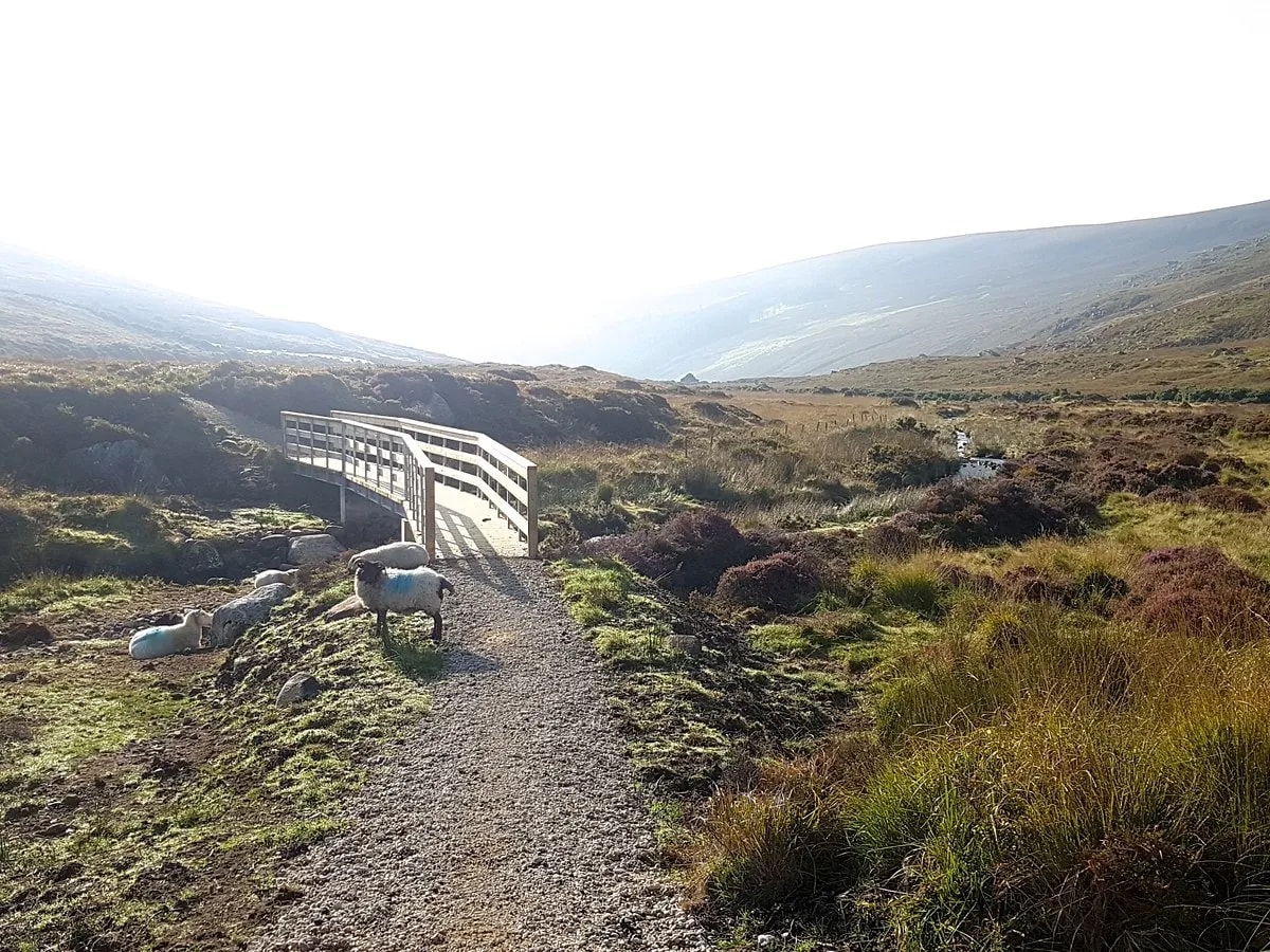 Drumgoff gap