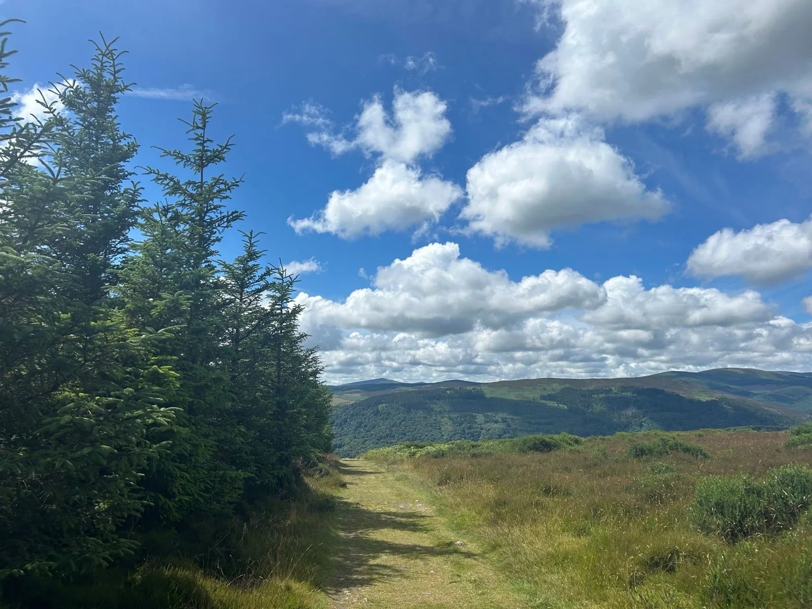 way to Roundwood
