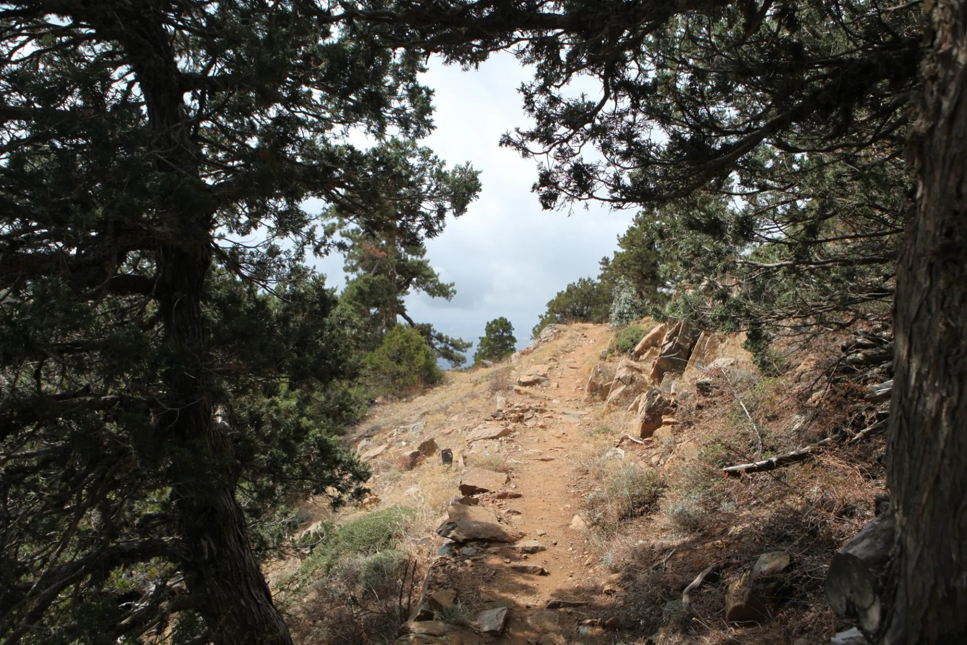 Sentier D'Artèmis