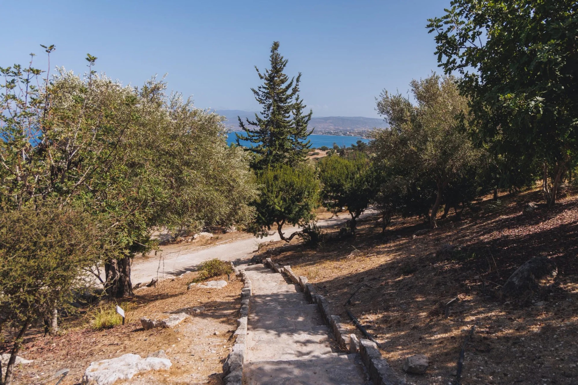 Botanical Garden Baths of Aphrodite in Akamas National Forest on the Akamas Peninsula, Paphos District in Cyprus