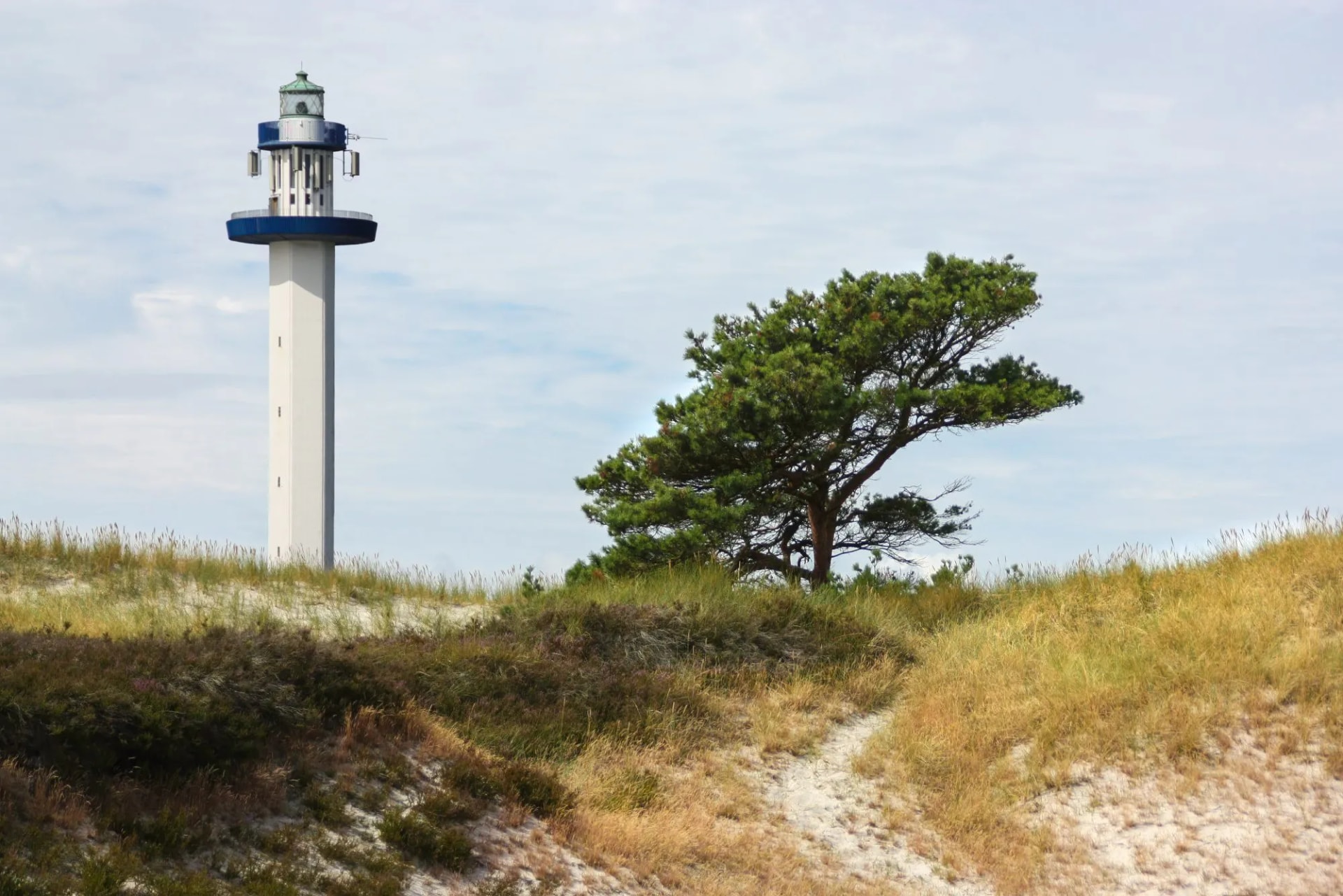 Dueodde Lighthouse standing tall behind grassy sand dunes with a pine tree.