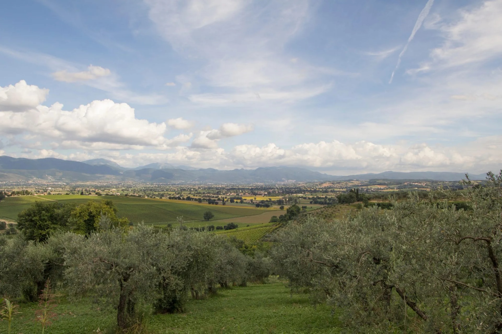 Valle umbra