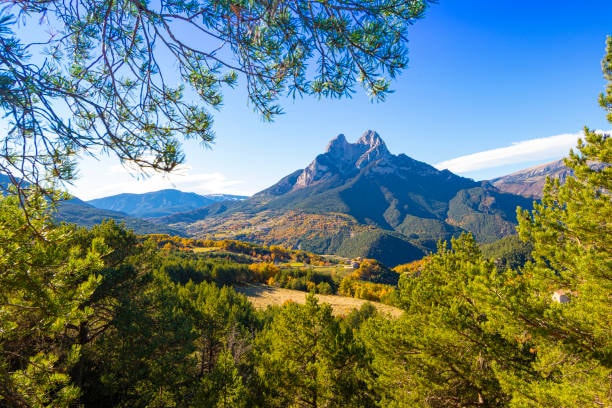 Mountain peaks rising above a forest with autumn foliage under a clear blue sky.
