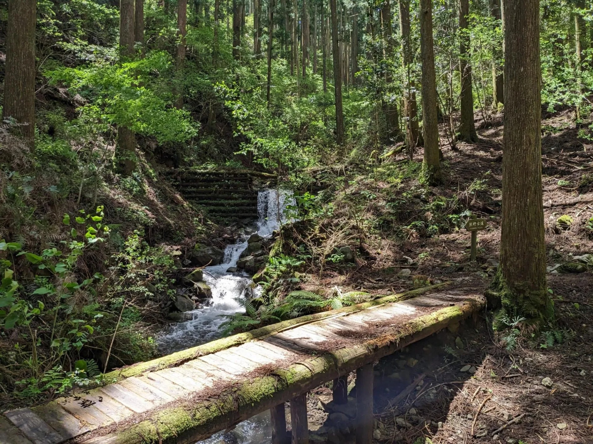Wooden bridge over stream in dense forest with small waterfall, Kumano Kodo trail.