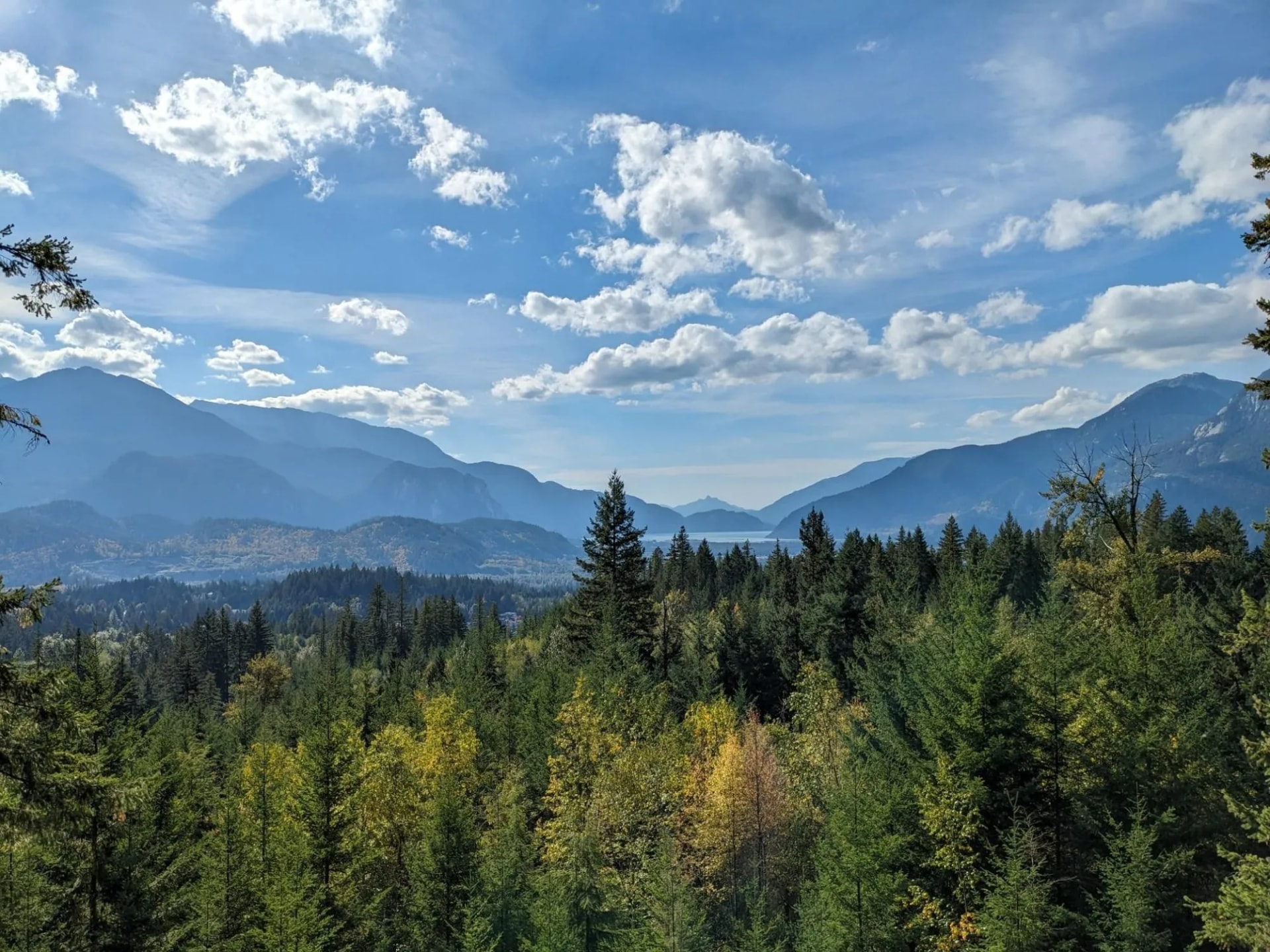 DeBeck's Hill View