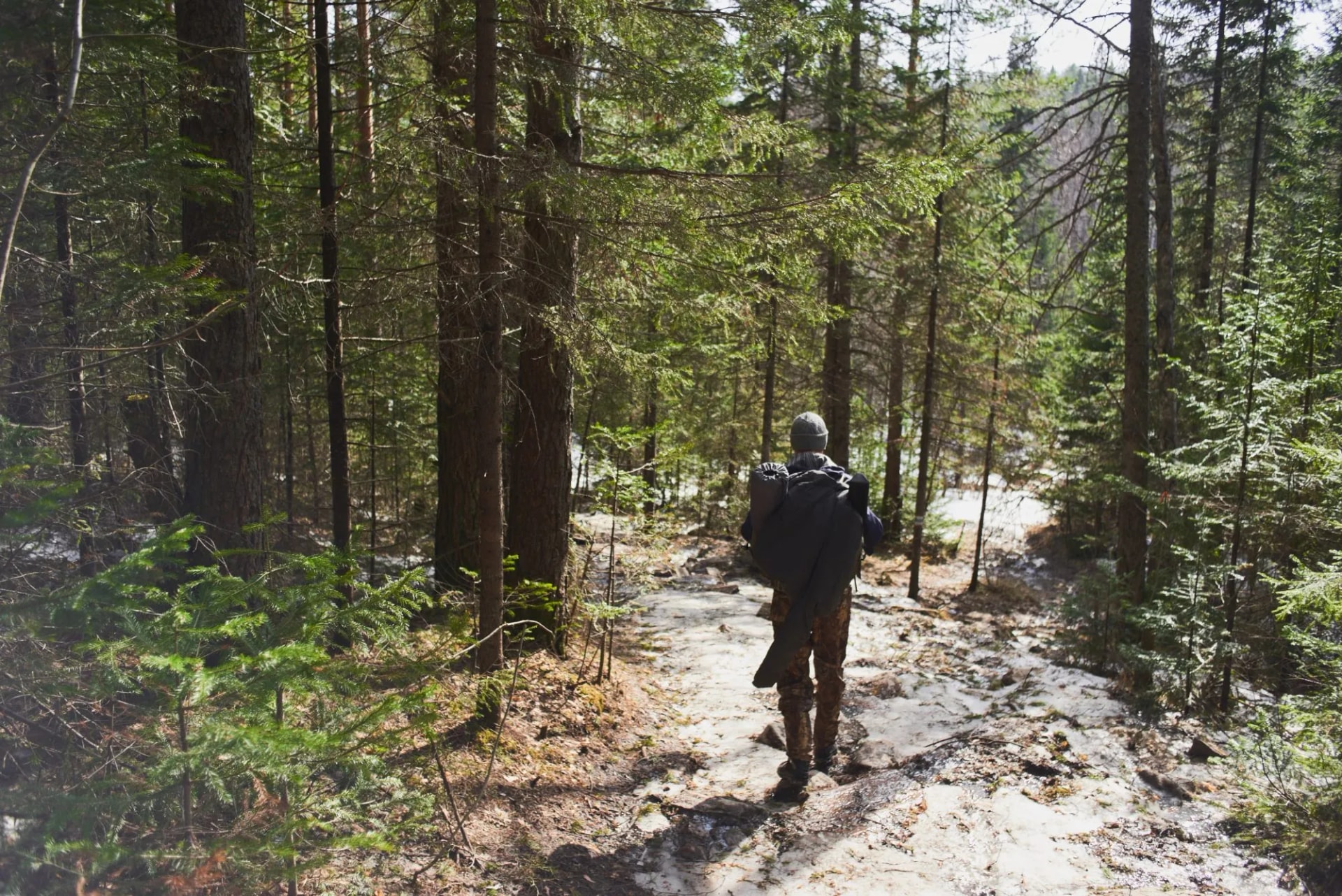 descent from olympus