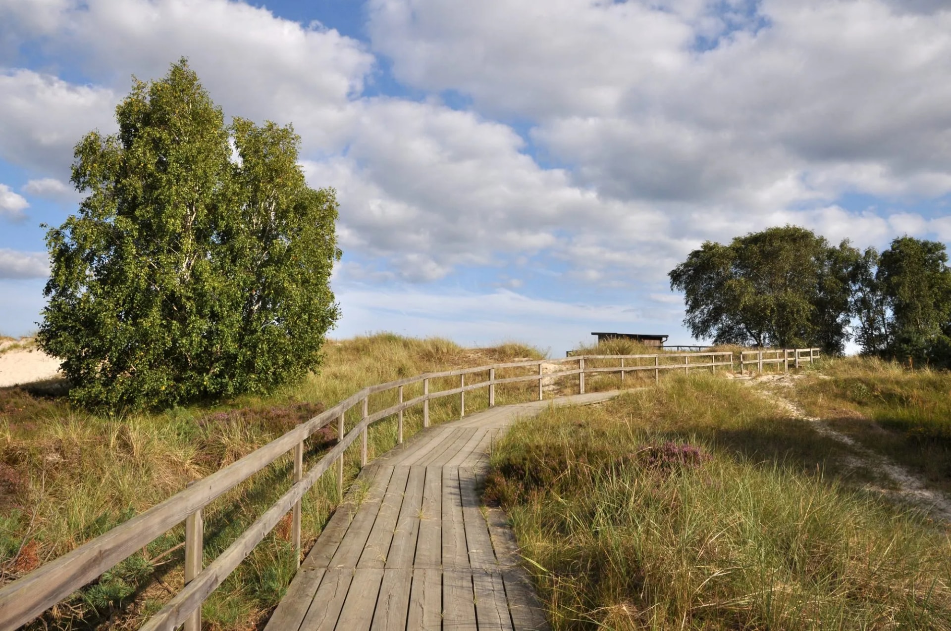 Sandhammaren beach