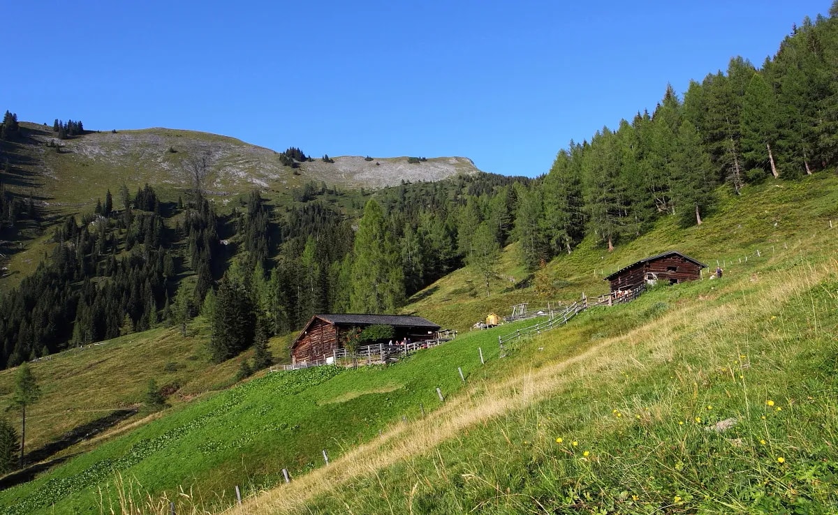 Wooden alpine huts on steep green hillside with forest and mountain backdrop under clear blue sky.
