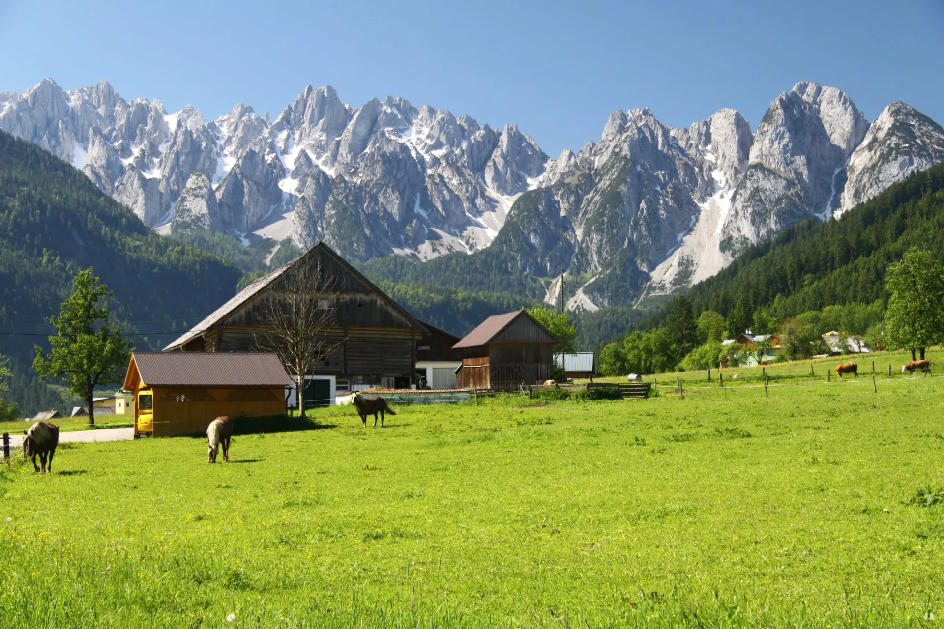 landschaft