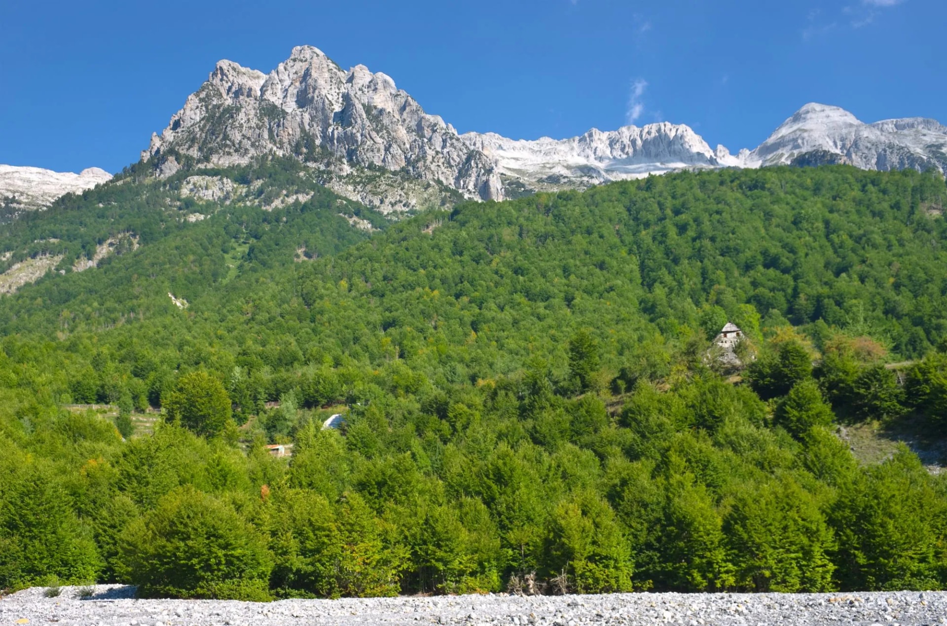 Rugged, rocky mountains rise above dense green forest in Valbona Valley, Albanian Alps.