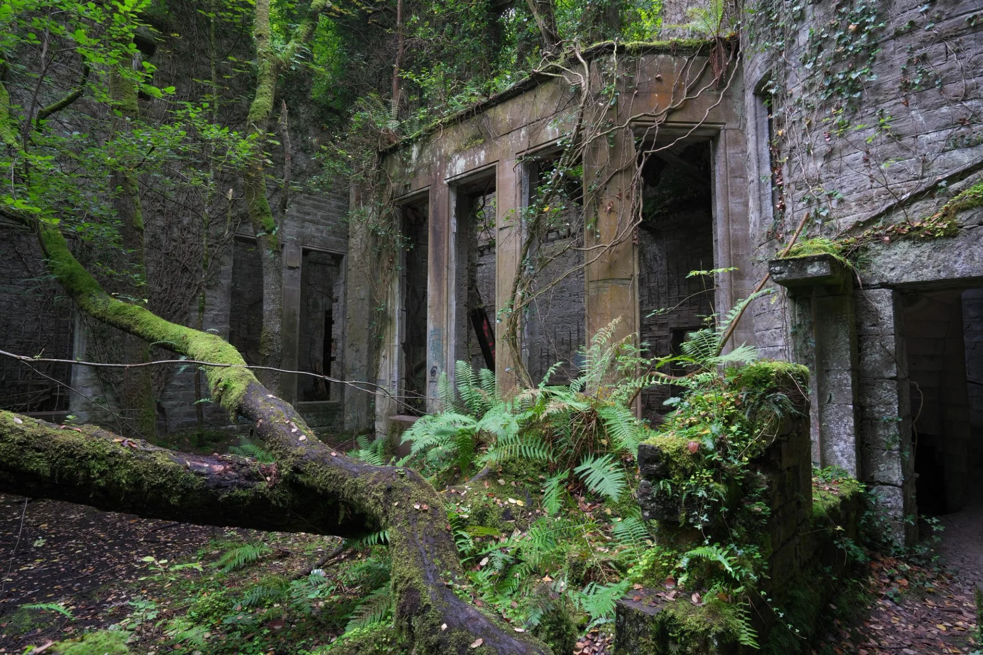 Buchanan Castle Ruin