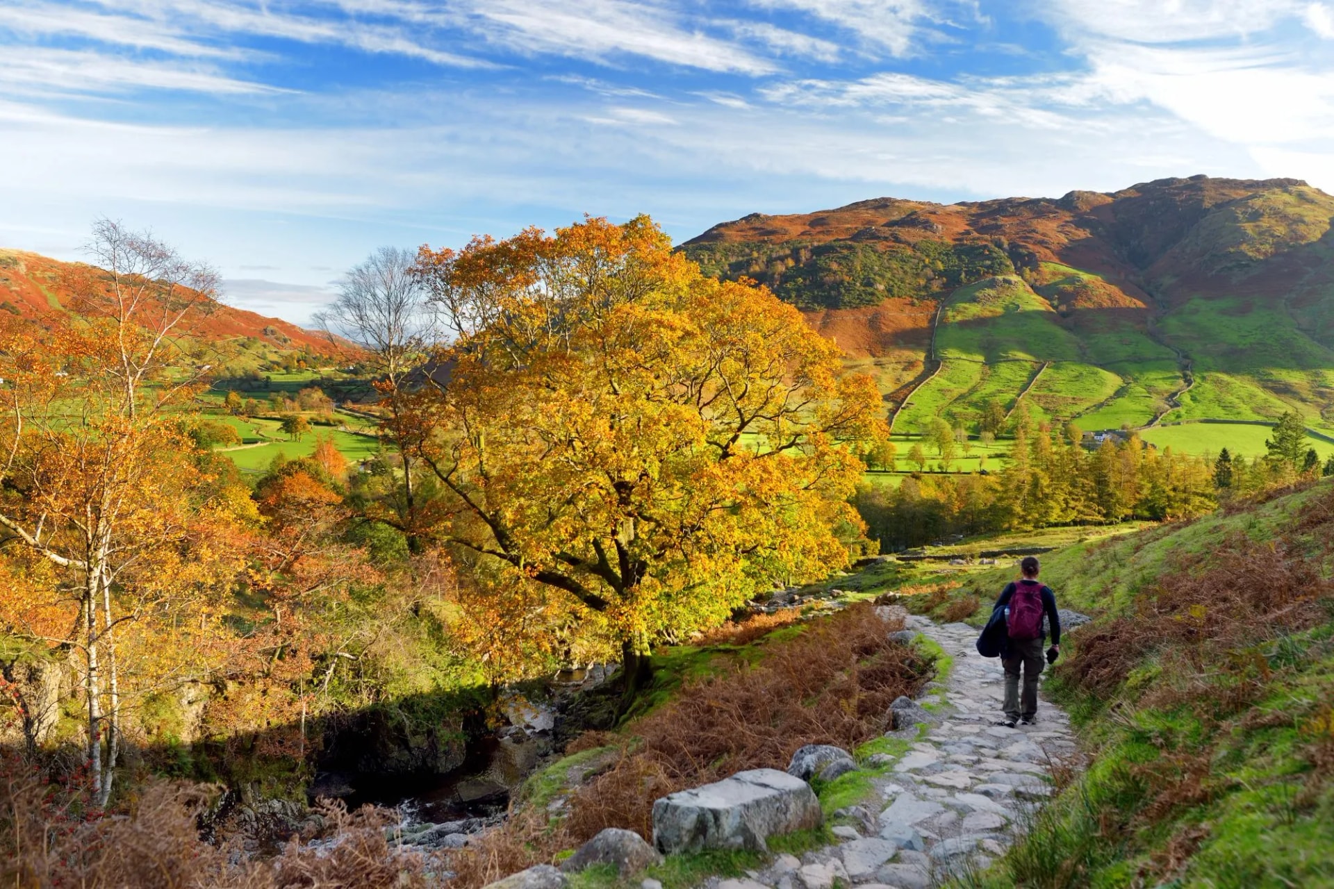 Lake district human