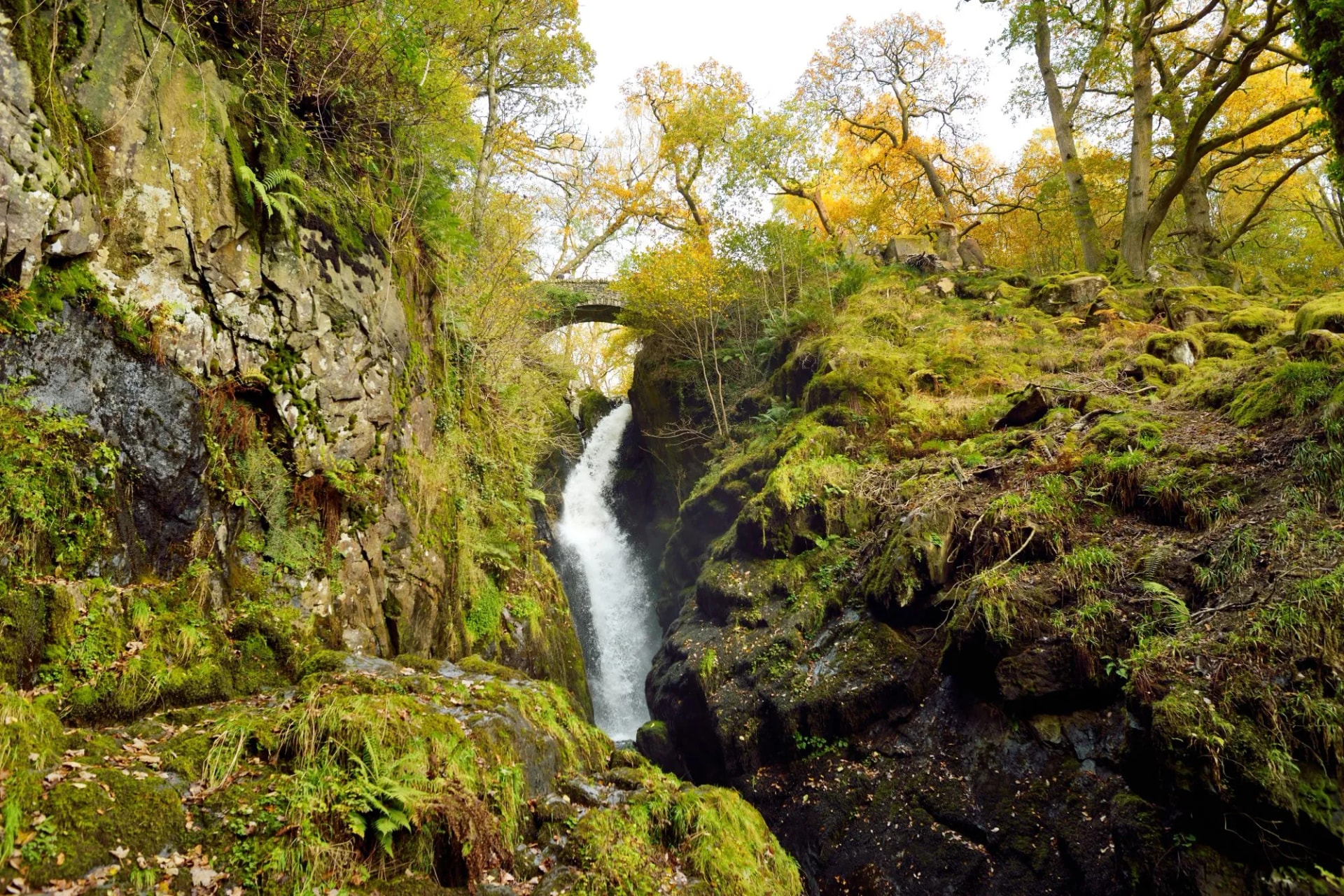 Aira Force Falls near Ullswater in the Lake district, Cumbria, United Kingdom