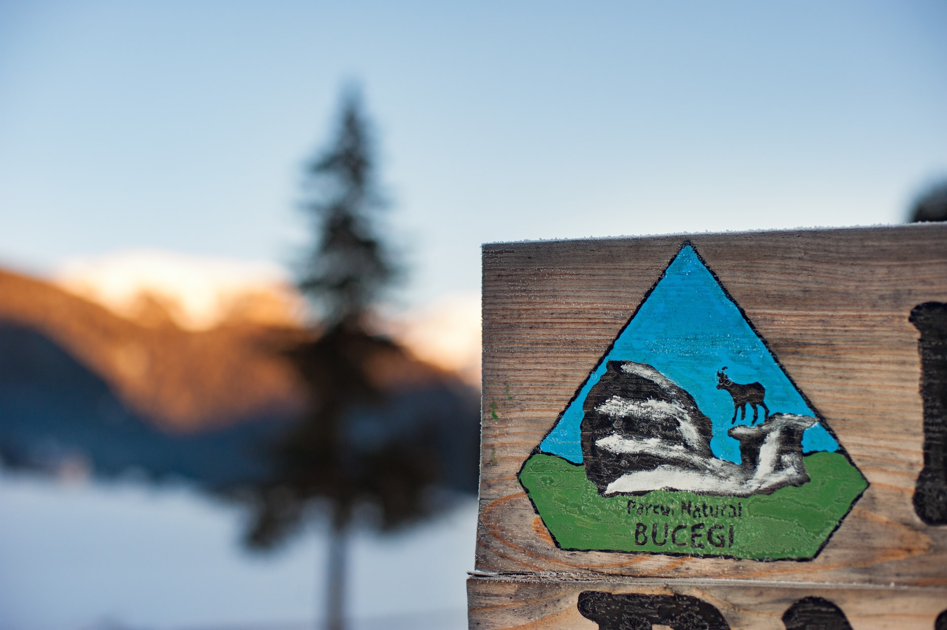 Wooden sign with Bucegi Natural Park emblem in frost, mountains blurred in background.