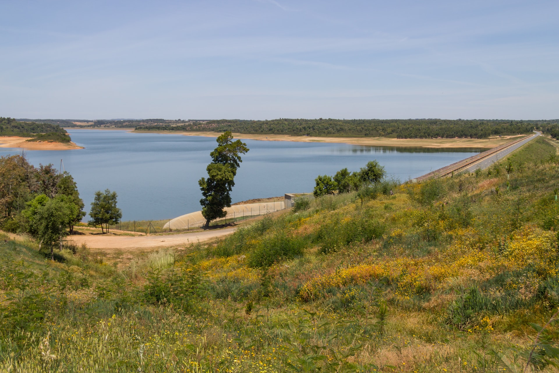 Reservoir at Albufeira de Campilhas with grassy hillside and yellow wildflowers.
