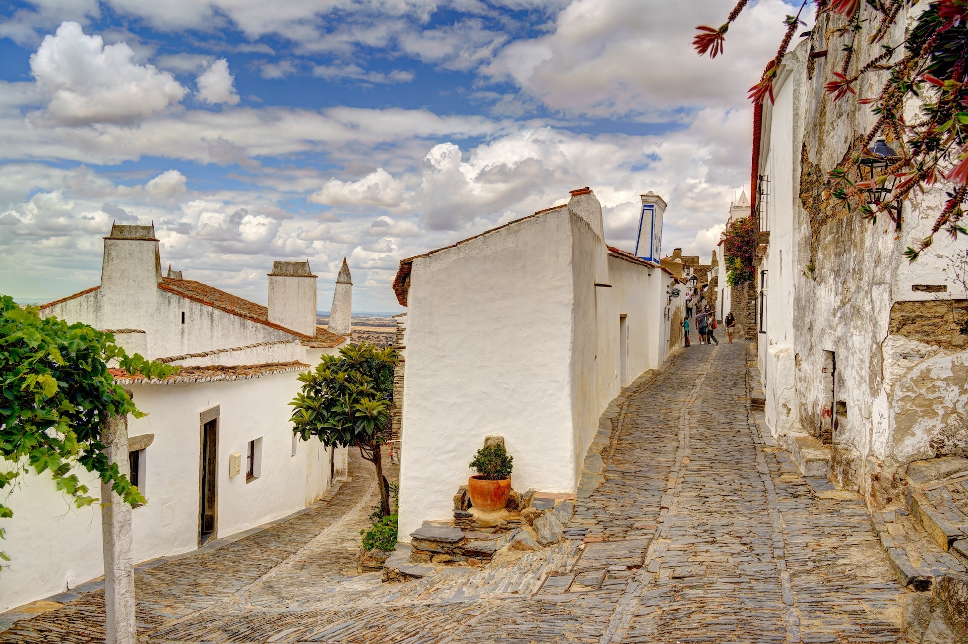 Cobblestone street winding uphill between white stucco houses in Monsaraz, Alentejo, Portugal.