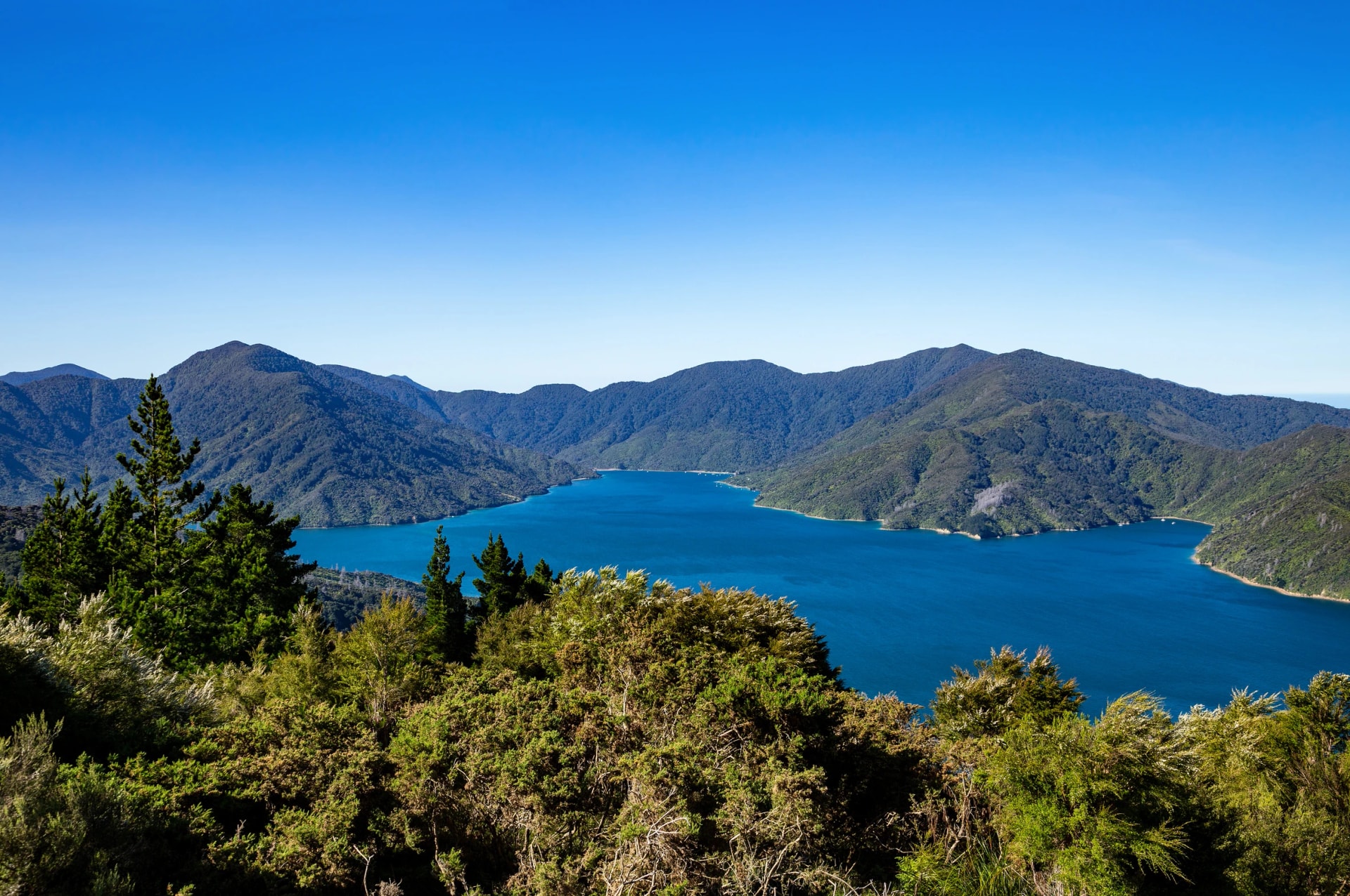 Endeavour Inlet from the track