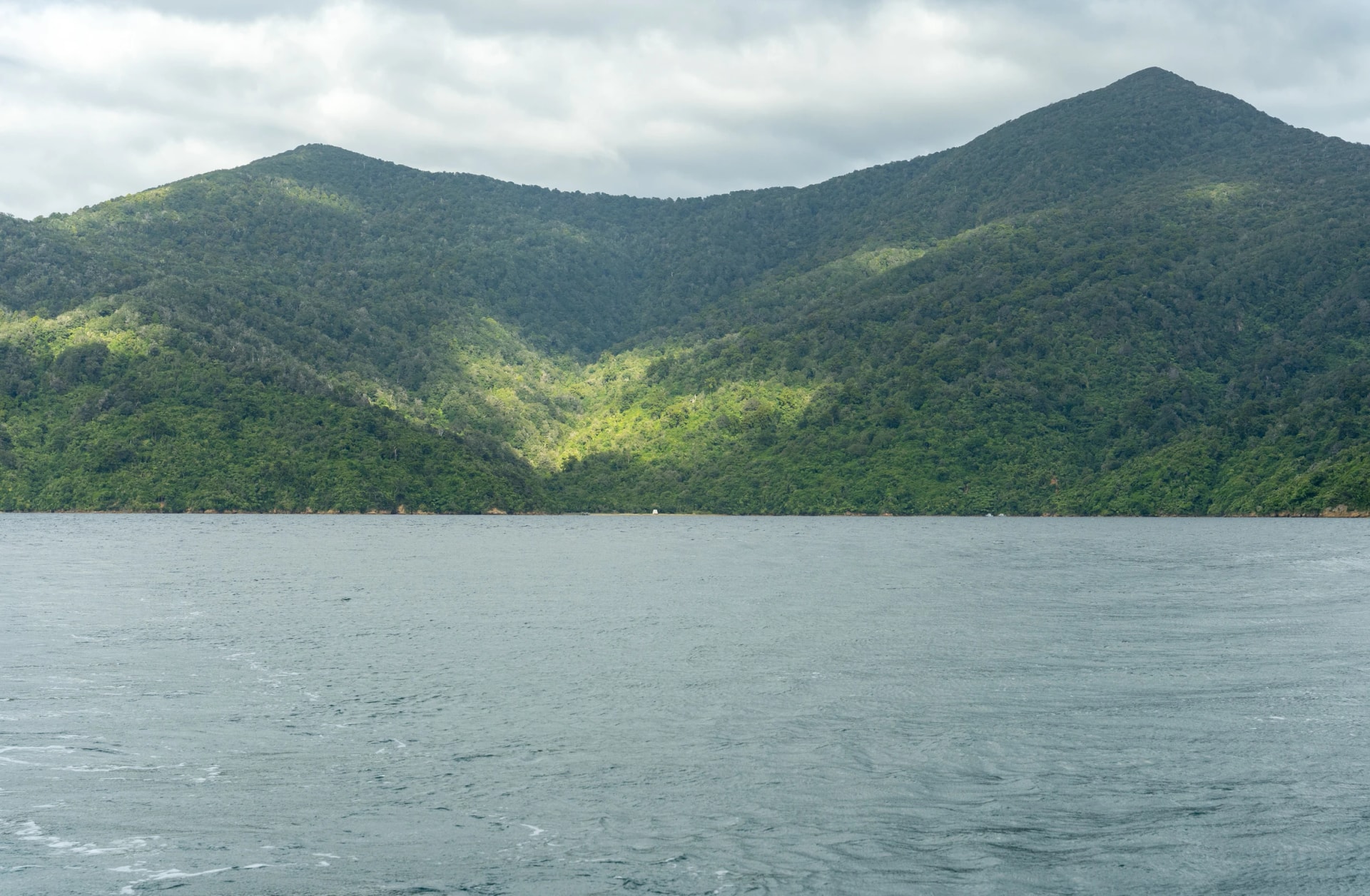 New Zealand, Ship Cove, Queen Charlotte Track