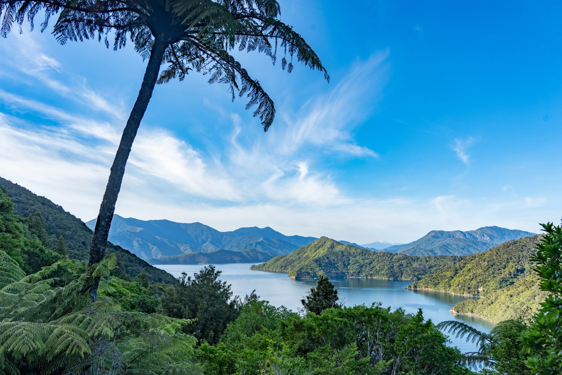Queen Charlotte Track, New Zealand