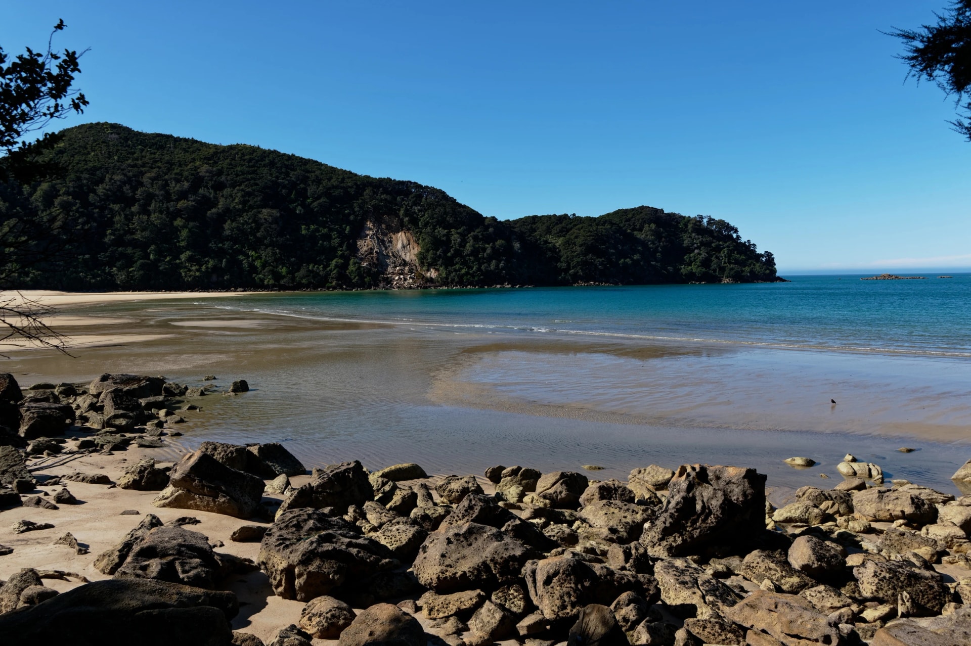 Bark Bay from the coast track