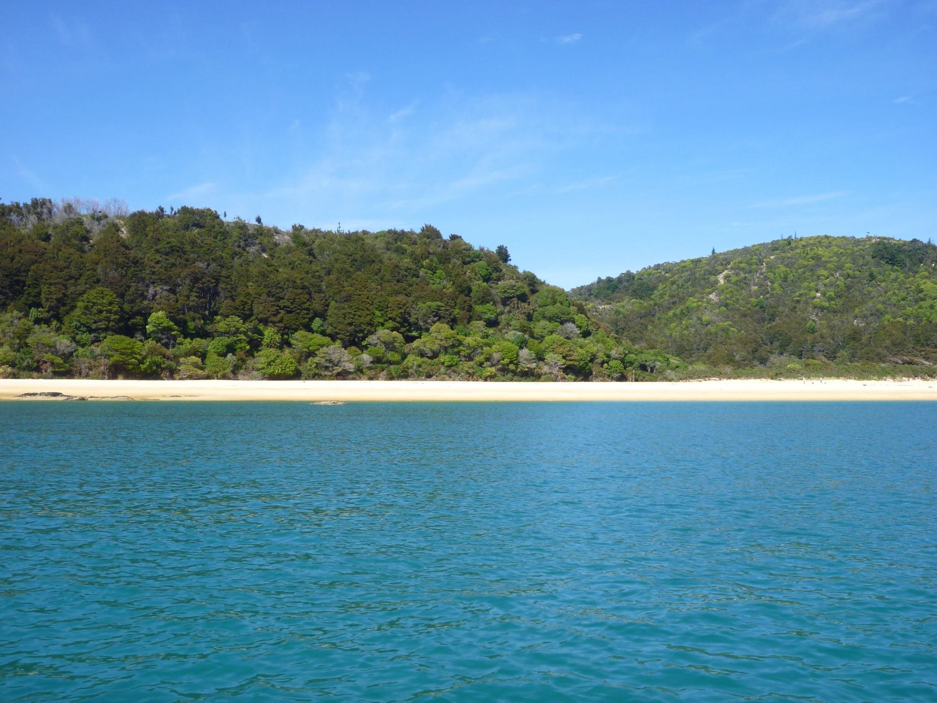 The park's coast from a water taxi