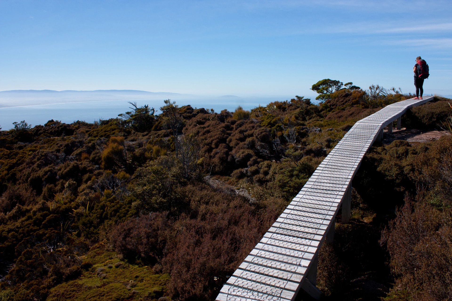 Walker on the ridge-top boardwalk