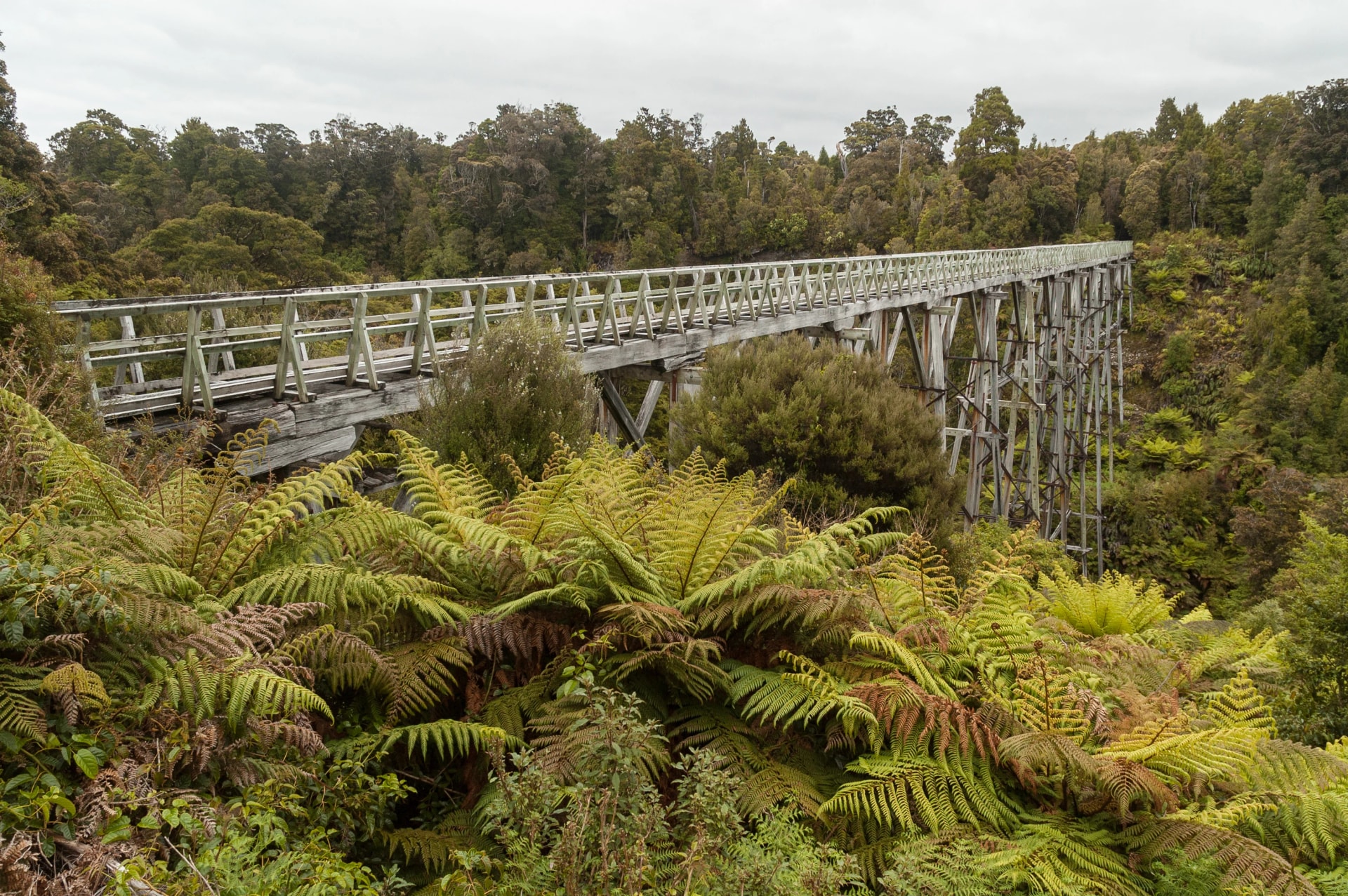 The Percy Burn Viaduct