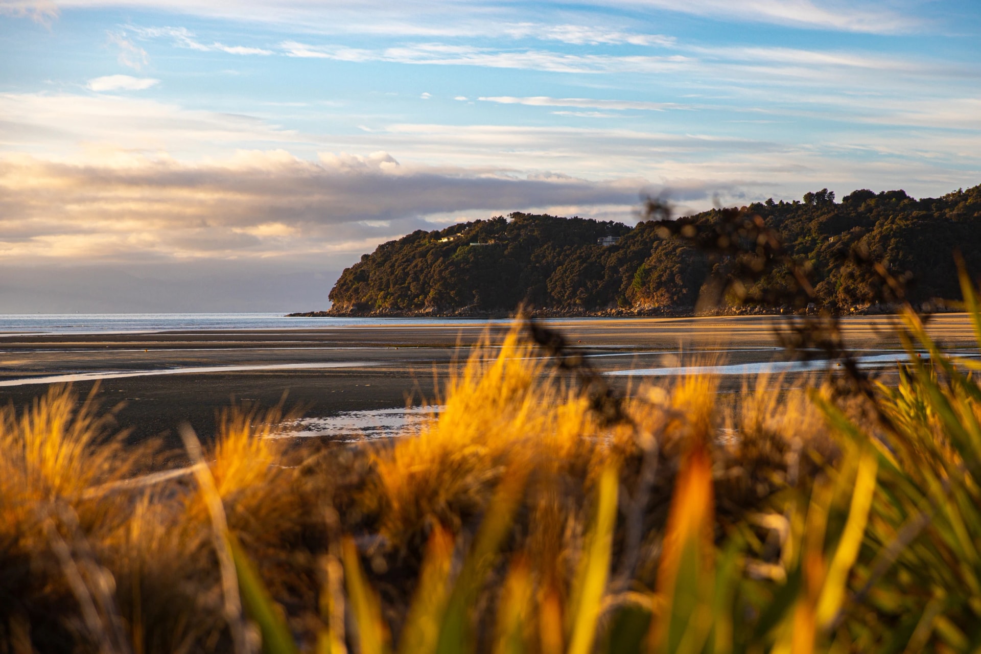 Sandy Bay from Mārahau at sunrise