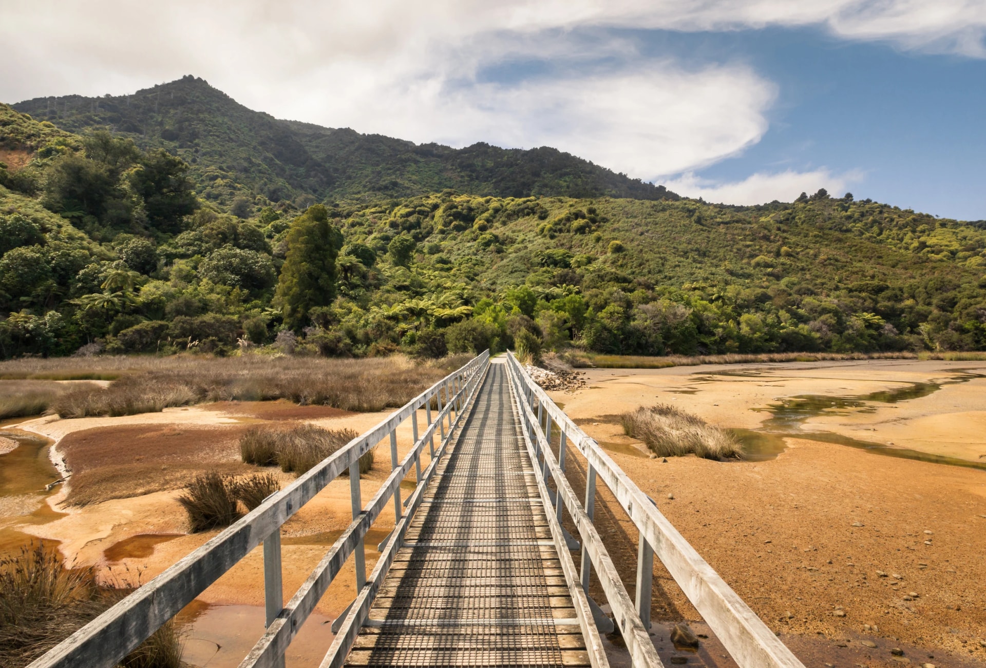 Boardwalk at the start of the Abel Tasman Coast Track