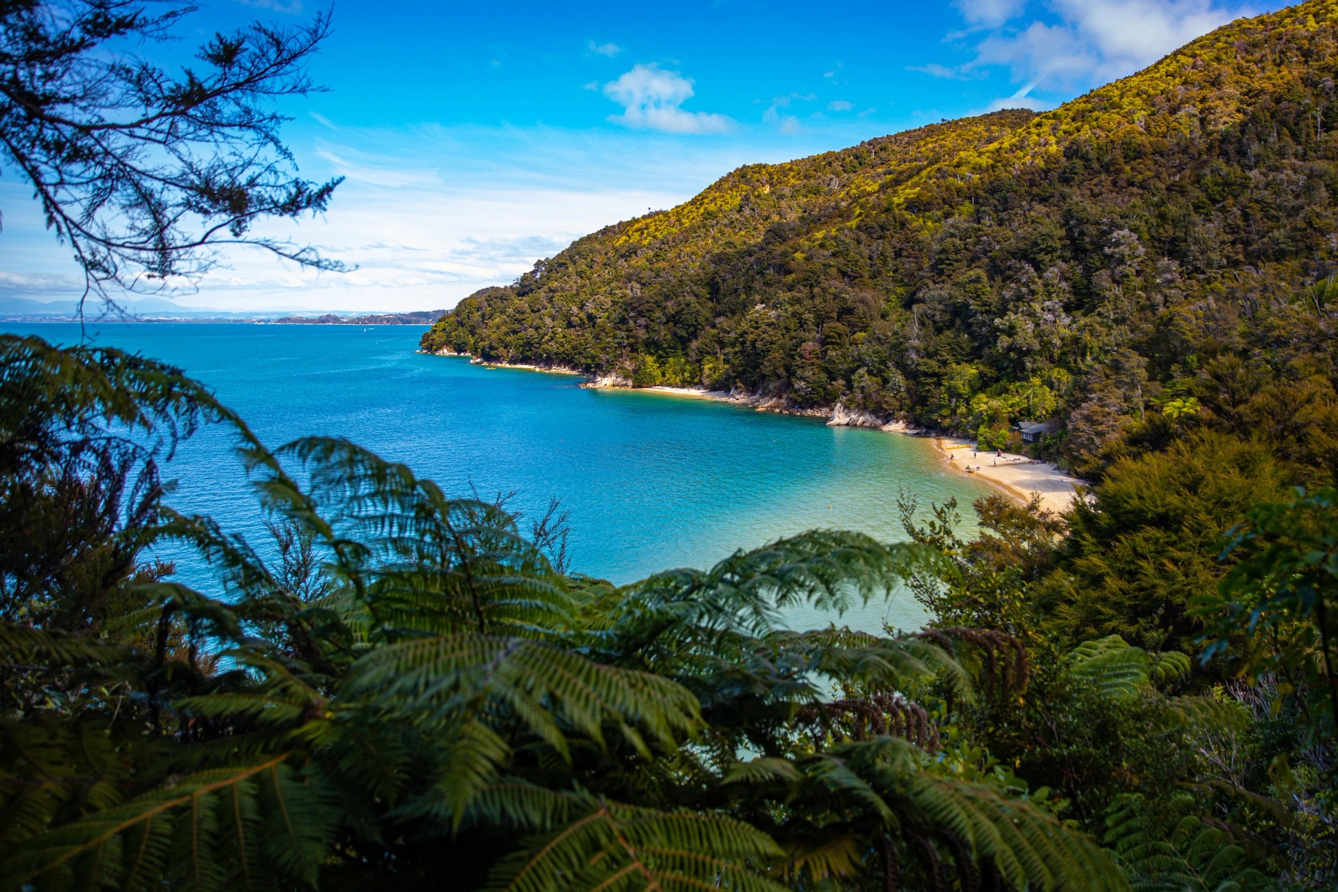 Stilwell Bay from above