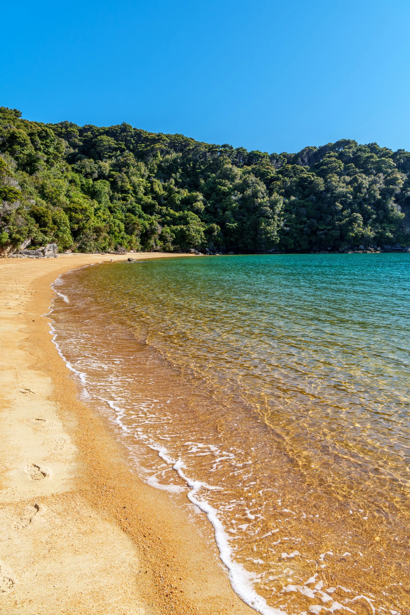 Te Pukatea Bay