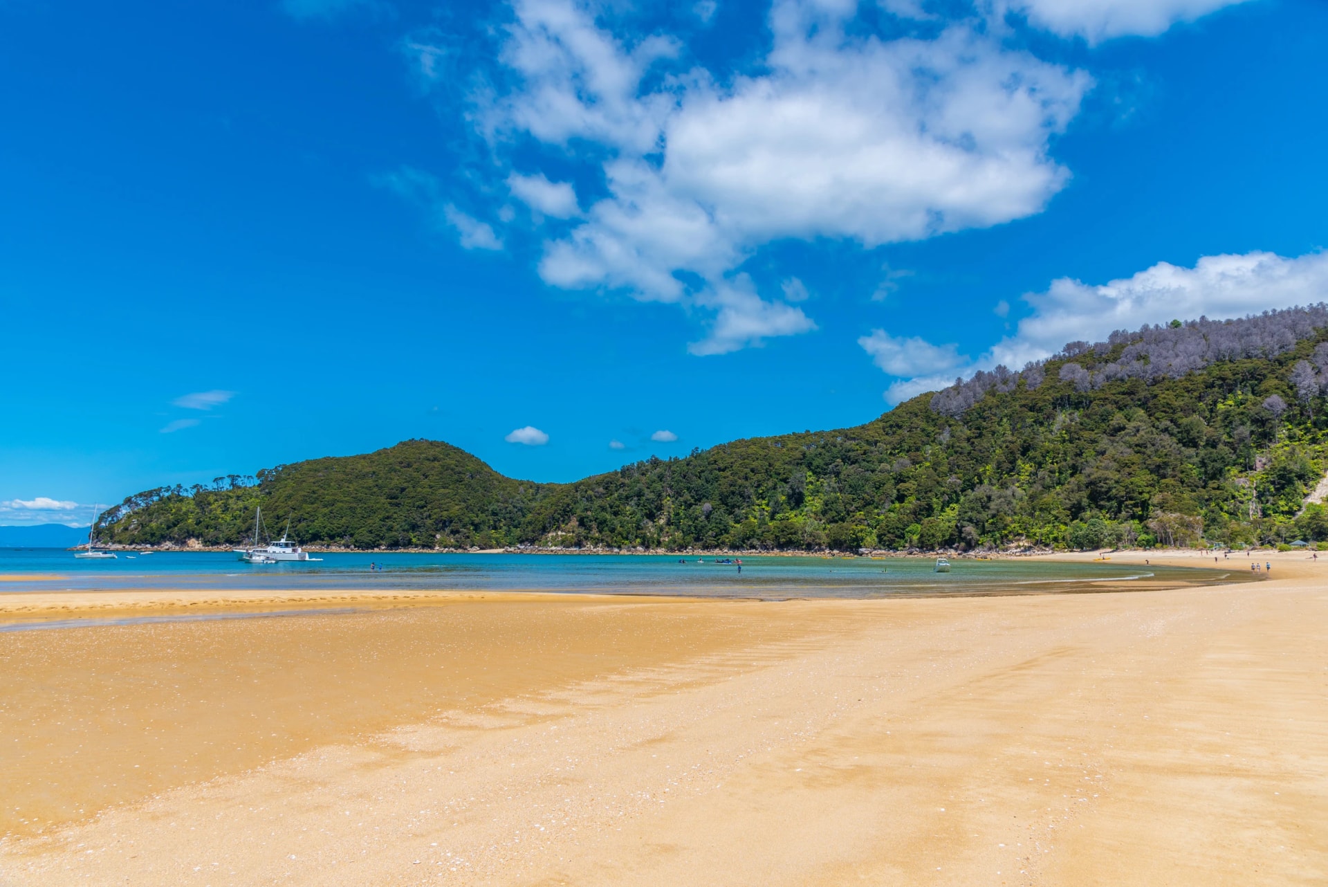 Bark Bay