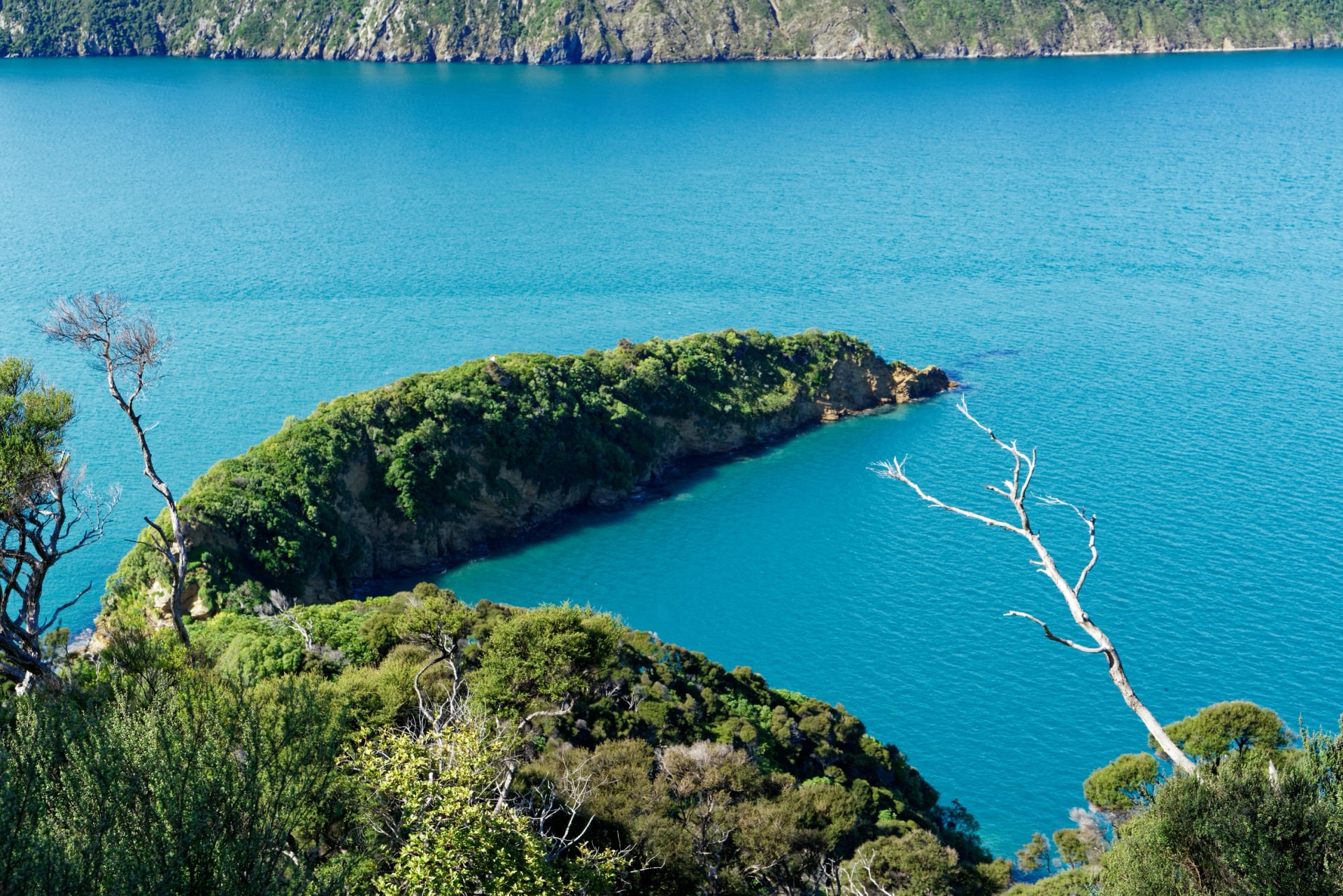 Motuara Island at the mouth of Queen Charlotte Sound