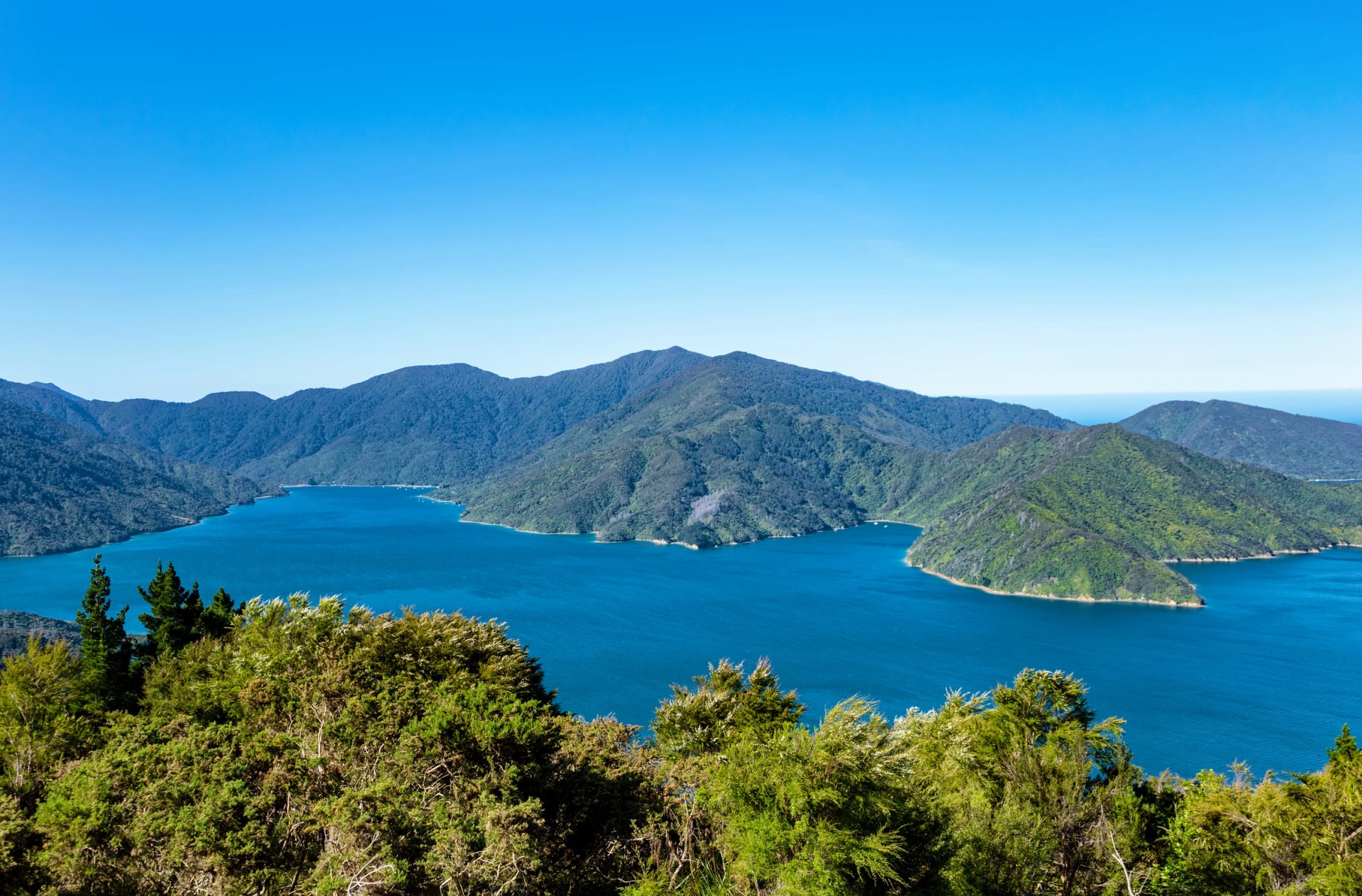 Endeavour Inlet from the hillside