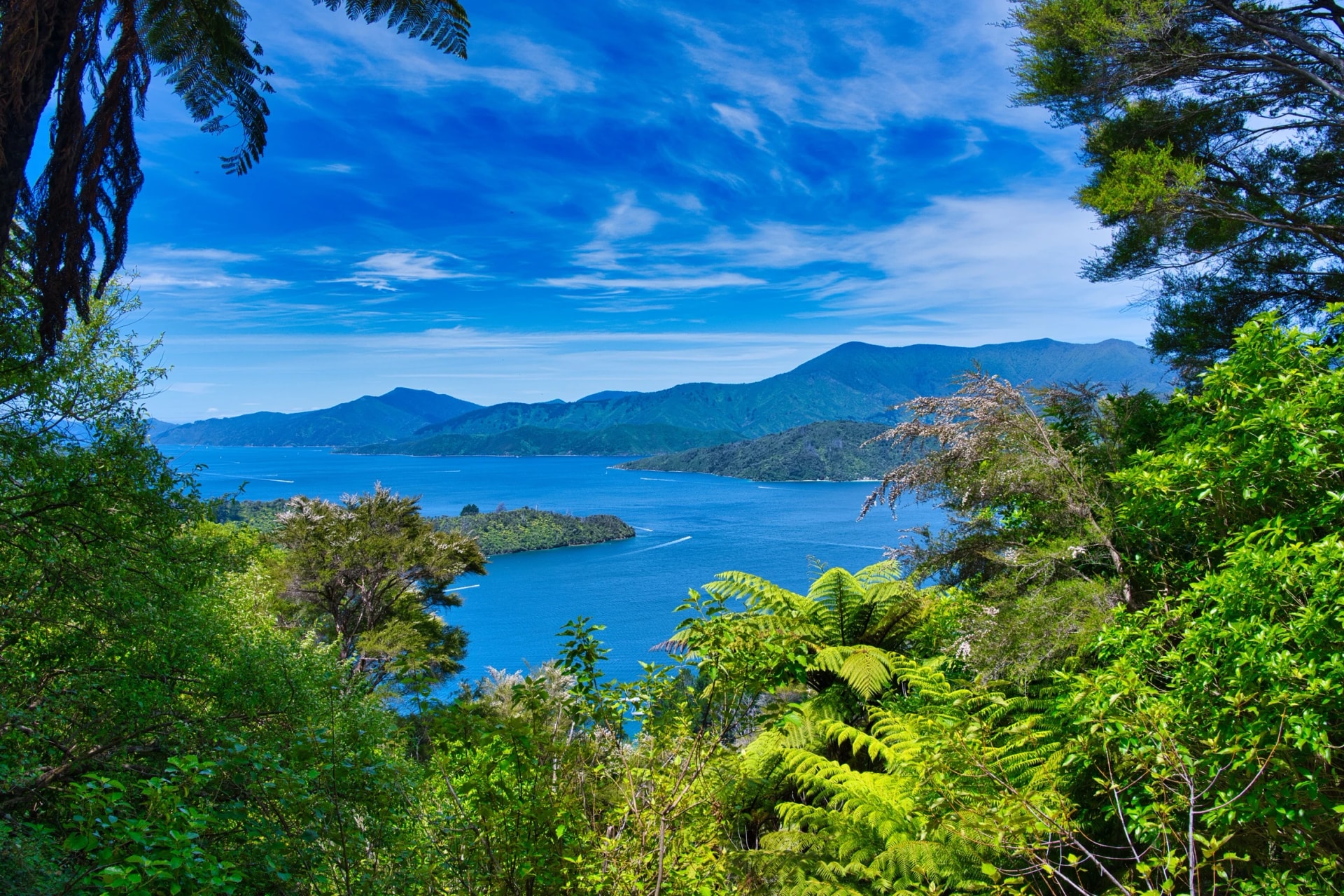 Lochmara Bay from the track