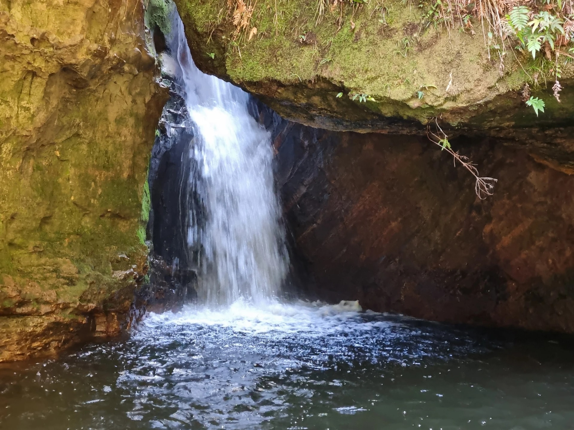 Waterfall on Greaves Creek
