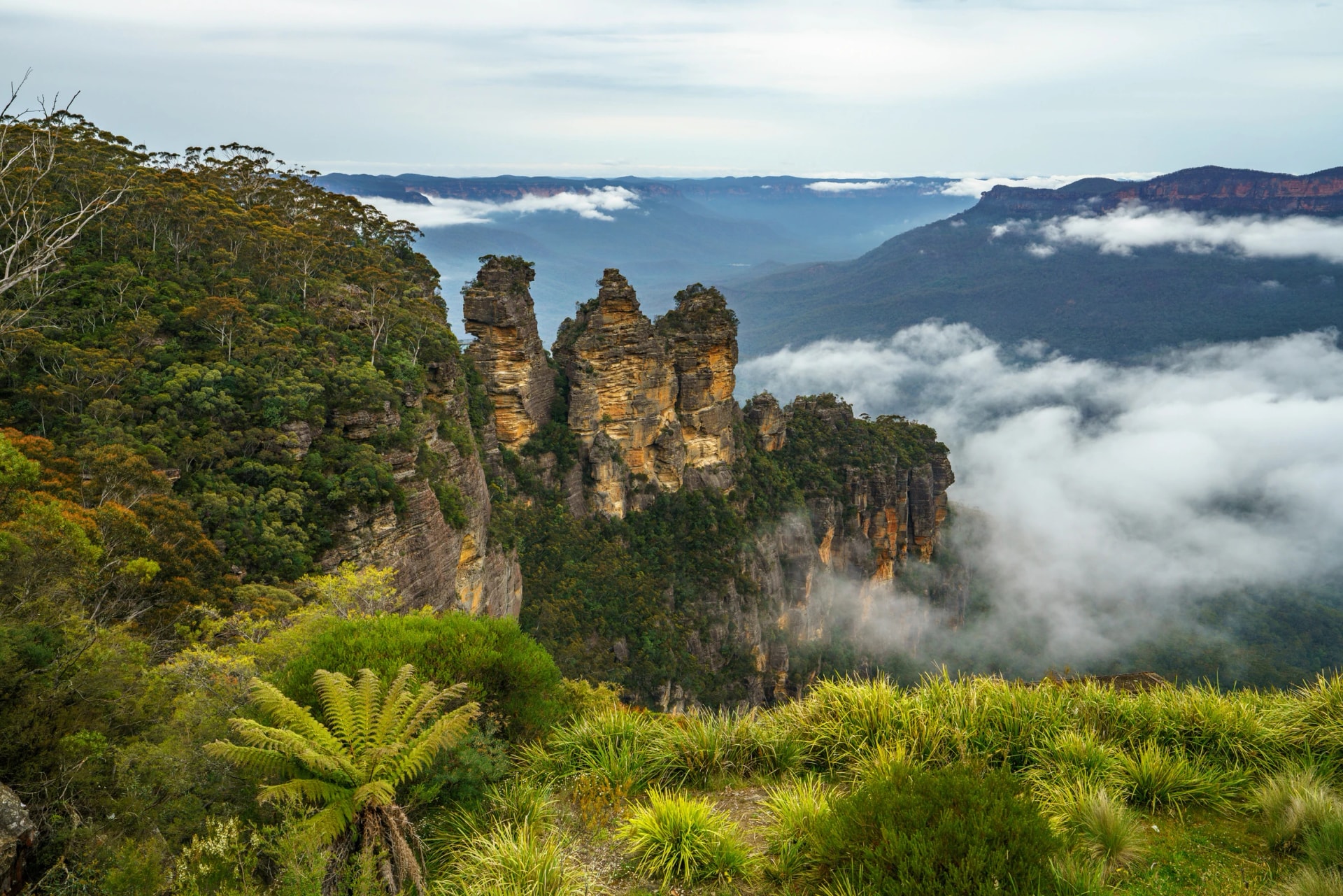Three Sisters above the cloud