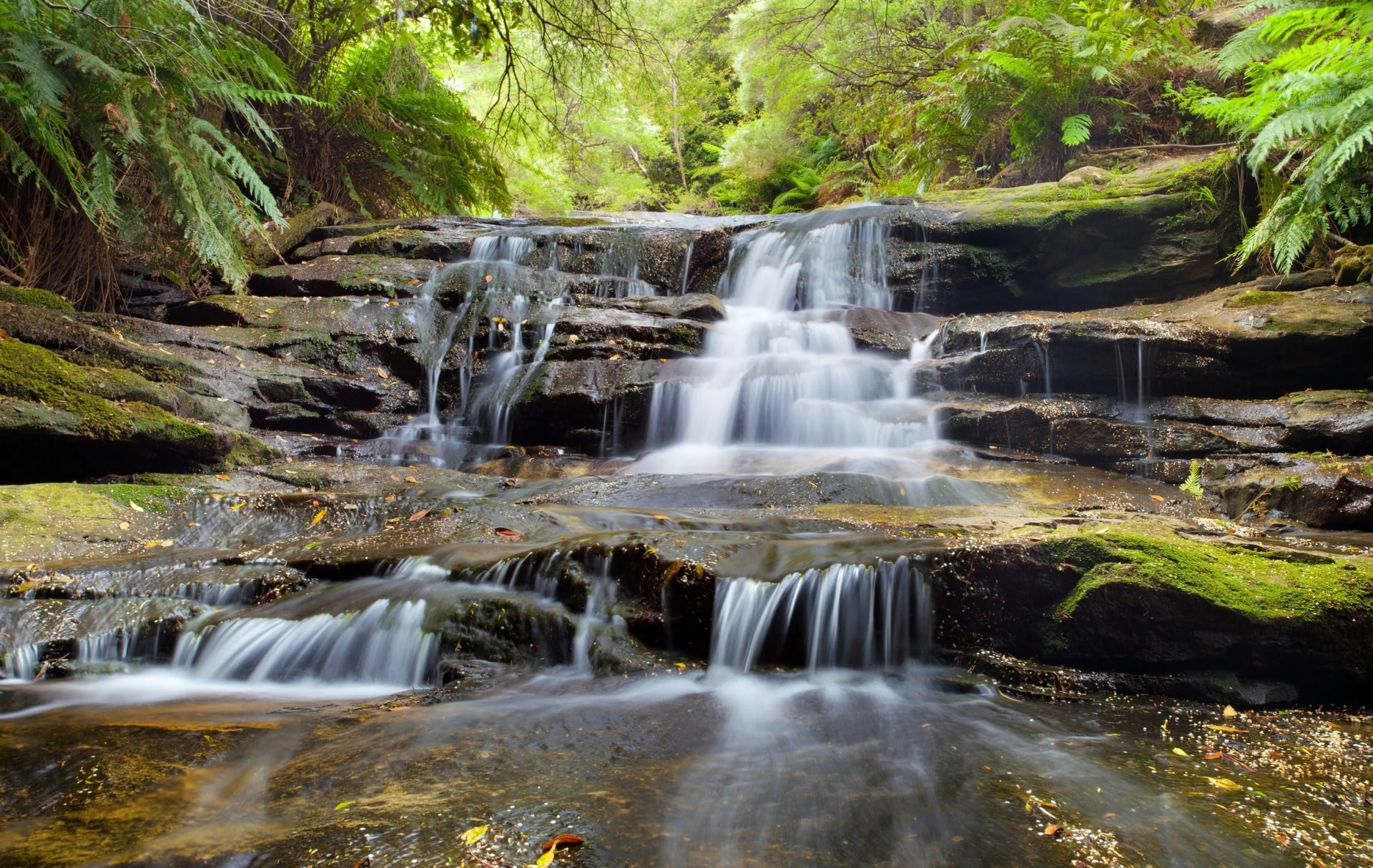 Leura Cascades