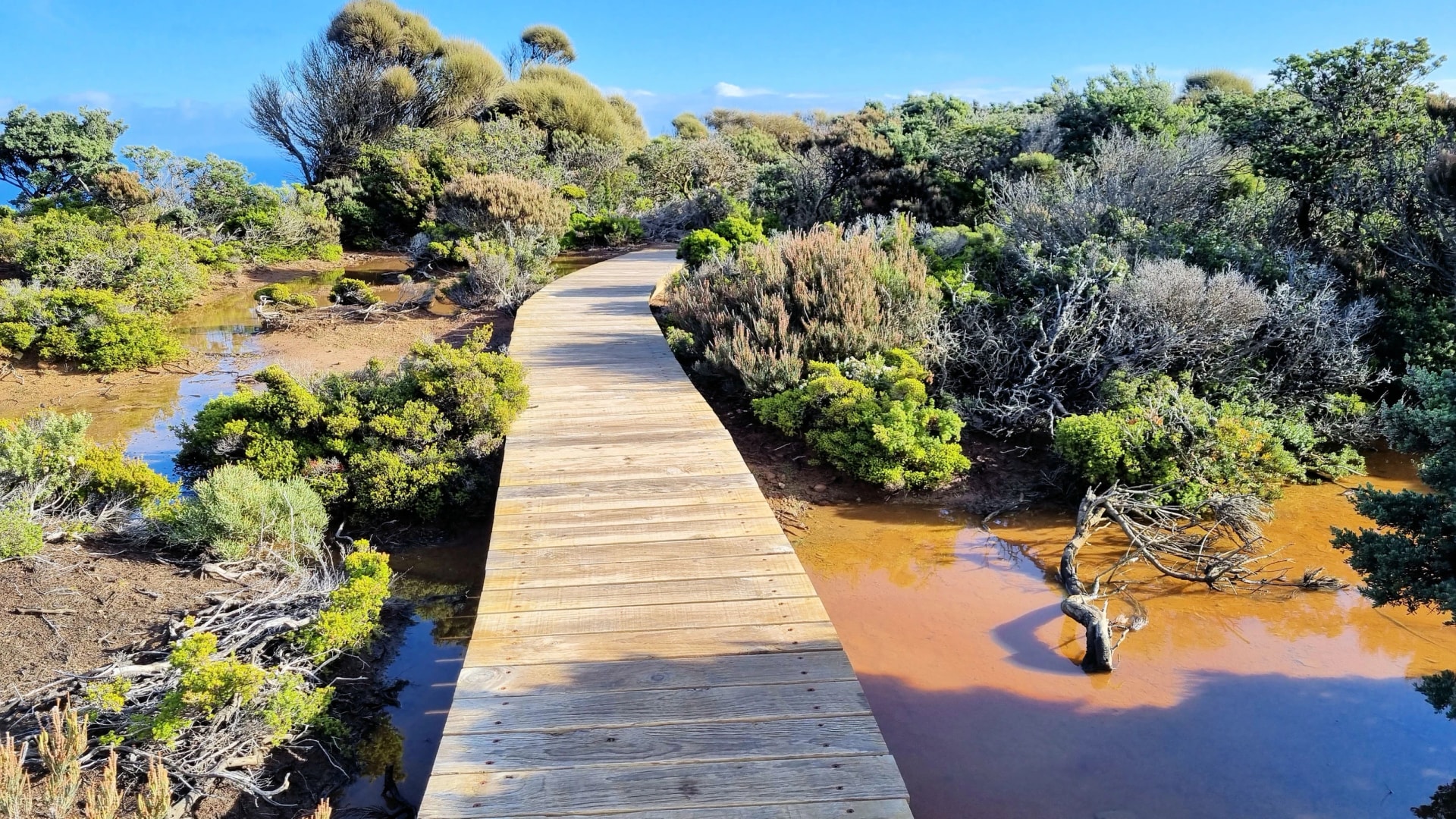 Boardwalk on the Cape Raoul headland