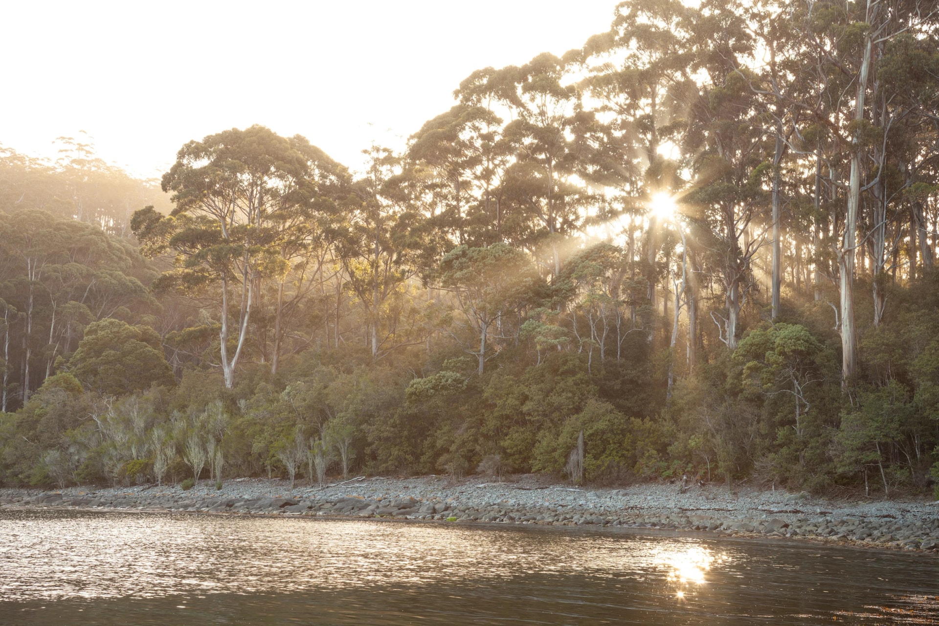Canoe Bay through the eucalypts