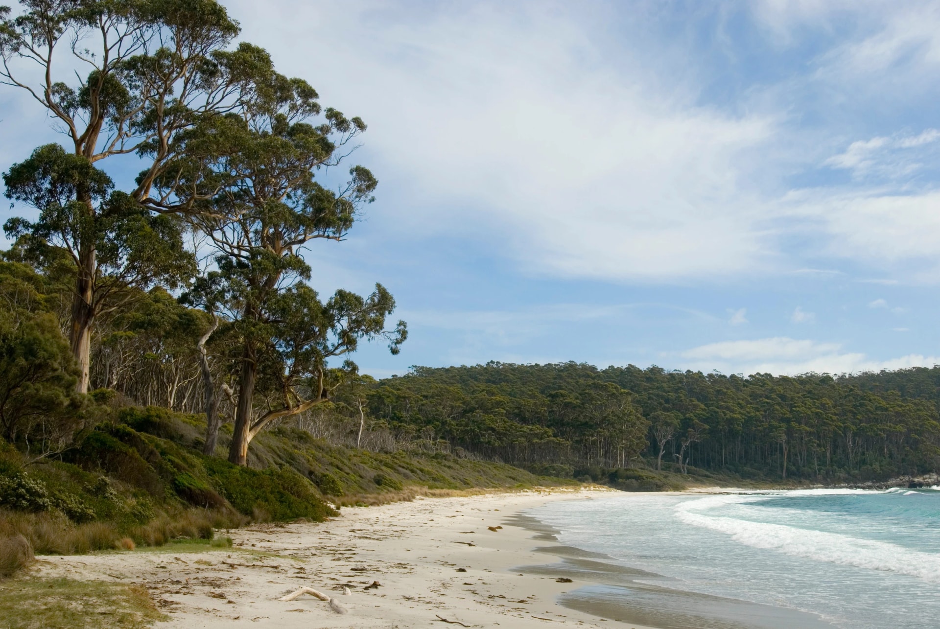 Fortescue Bay shore