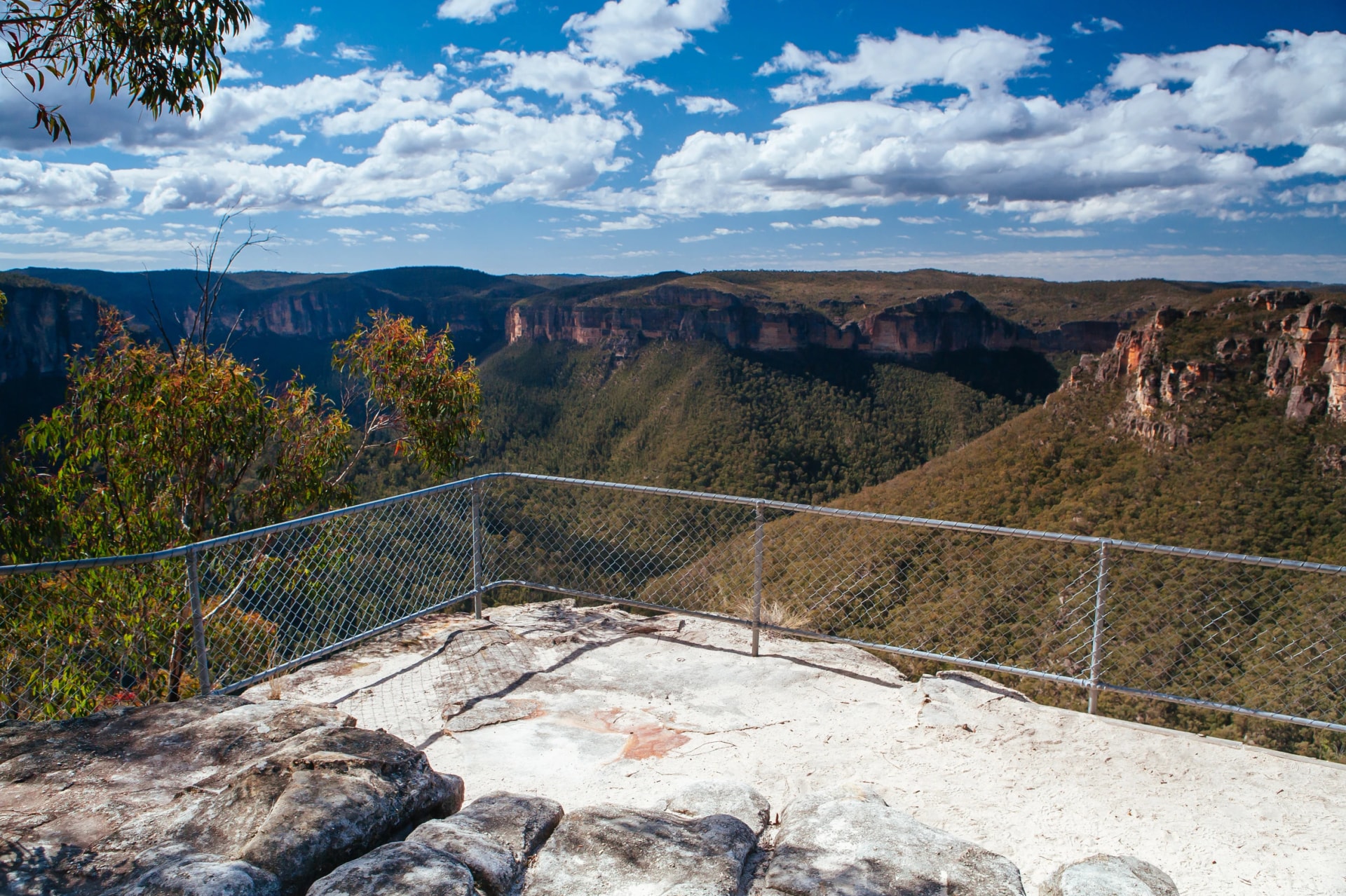Evans Lookout over the Grose Valley