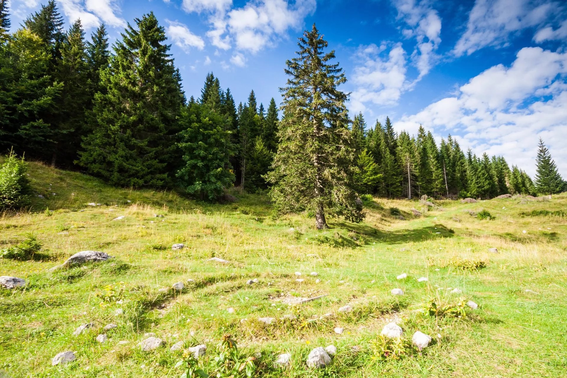 hiking uskovnica scaled